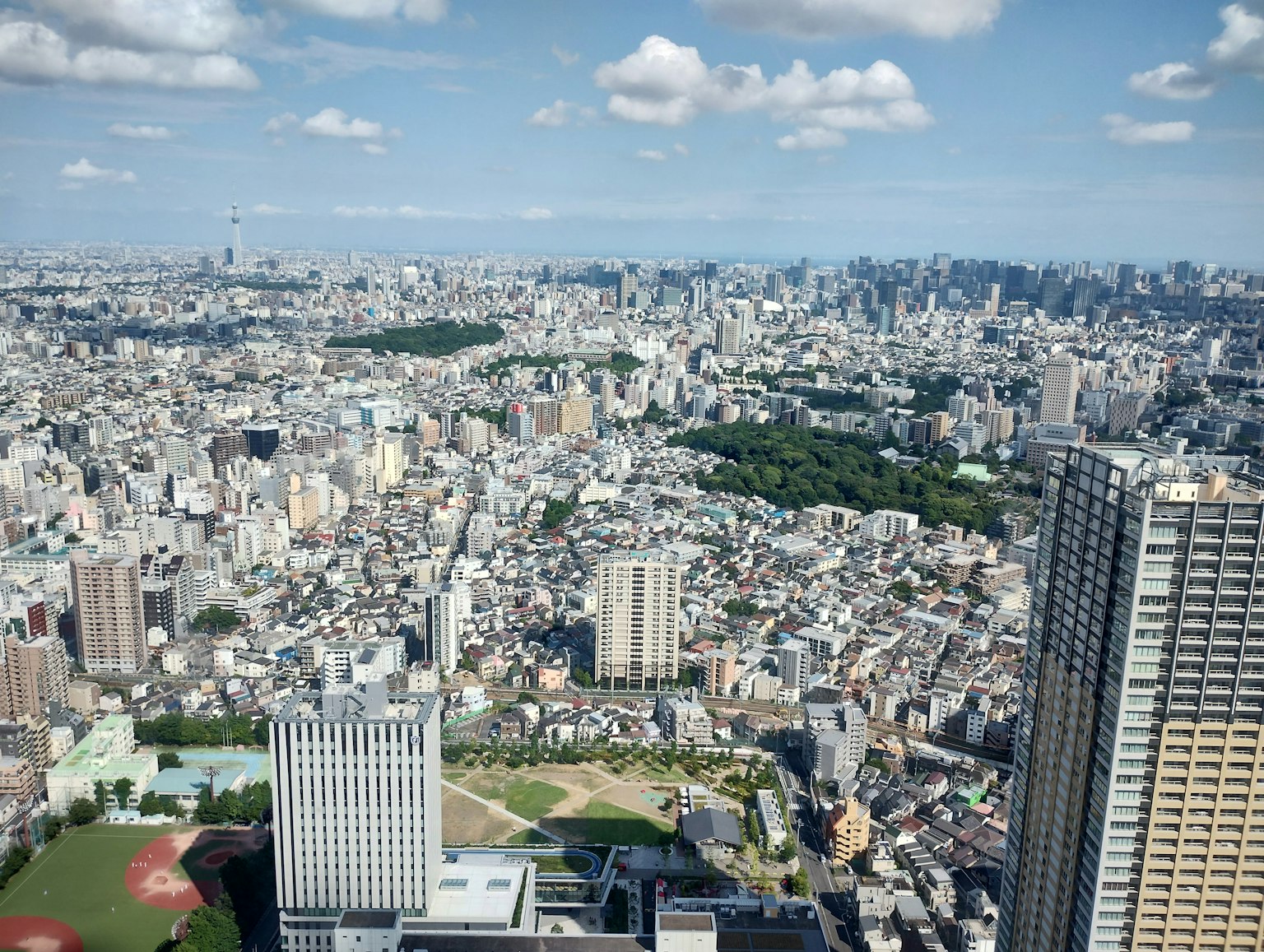 Expansive view of Tokyo's urban landscape with greenery