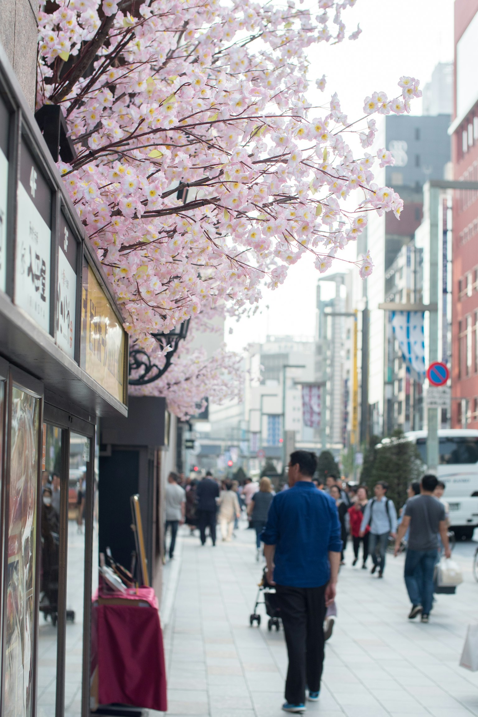 Personas caminando por una calle adornada con cerezos en flor