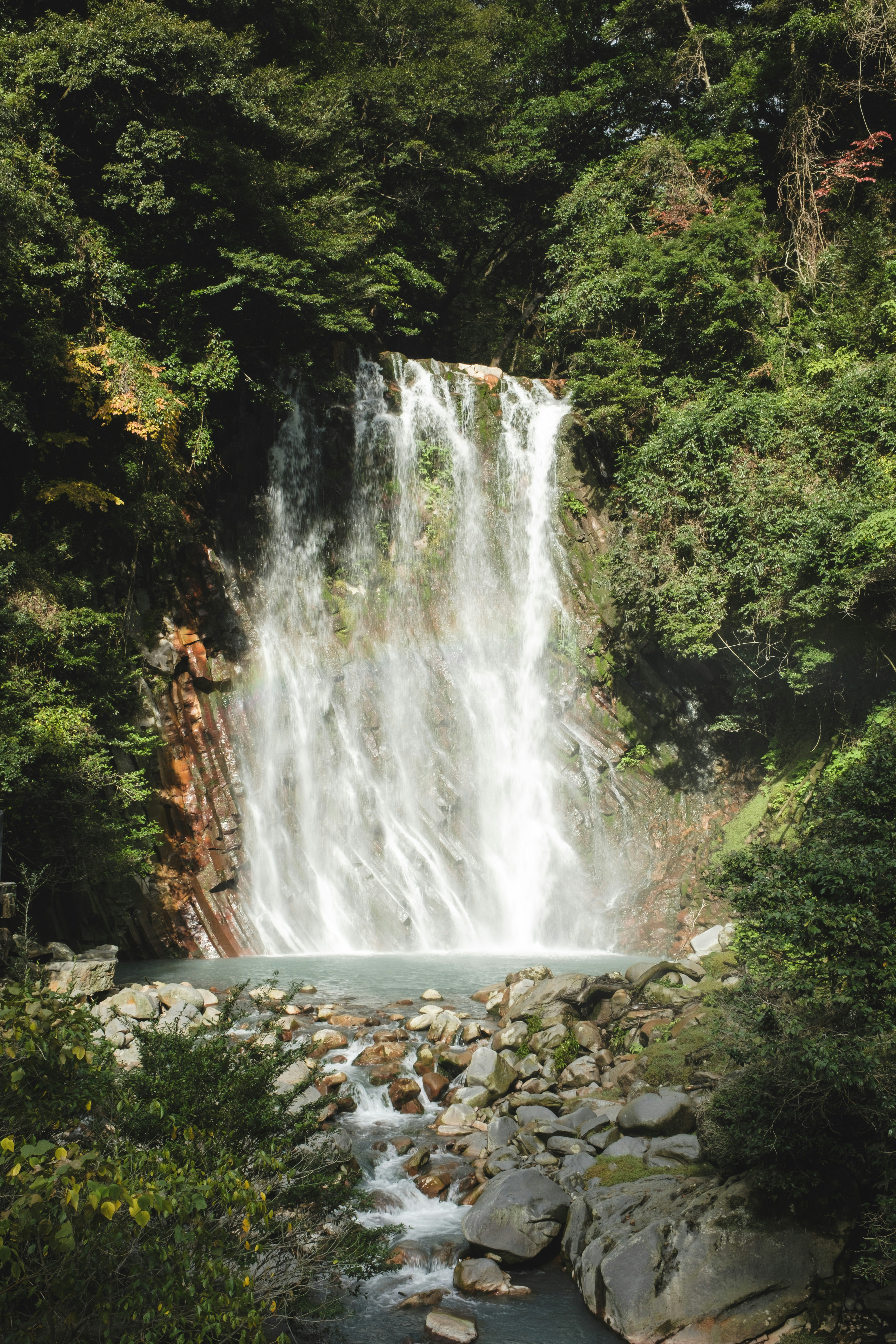 Belle cascade entourée d'une forêt verdoyante