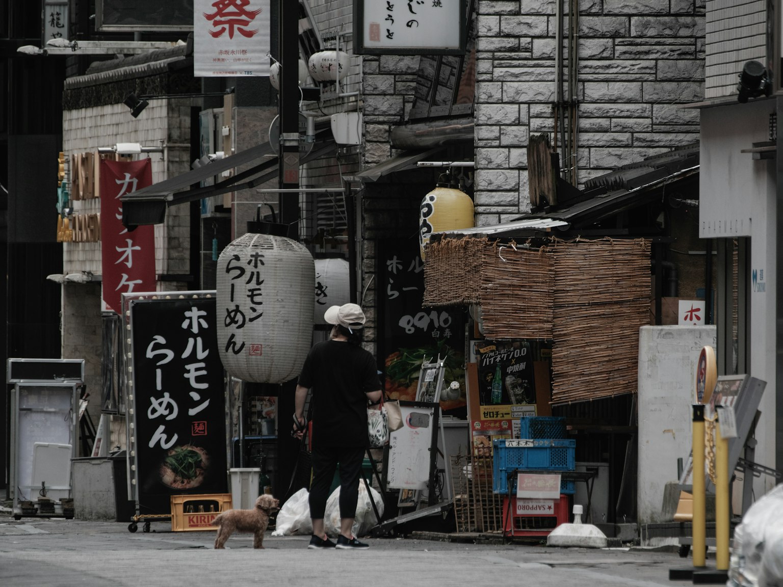 Góc phố yên tĩnh có quán ramen Nhật Bản và một con chó