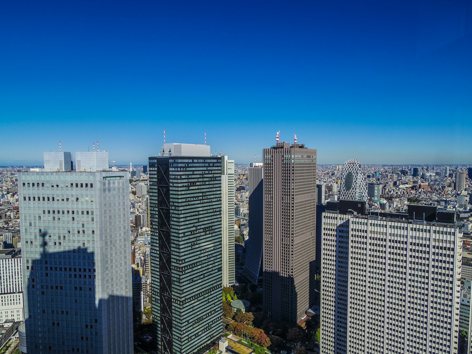 東京摩天大樓的鳥瞰圖，藍天晴朗
