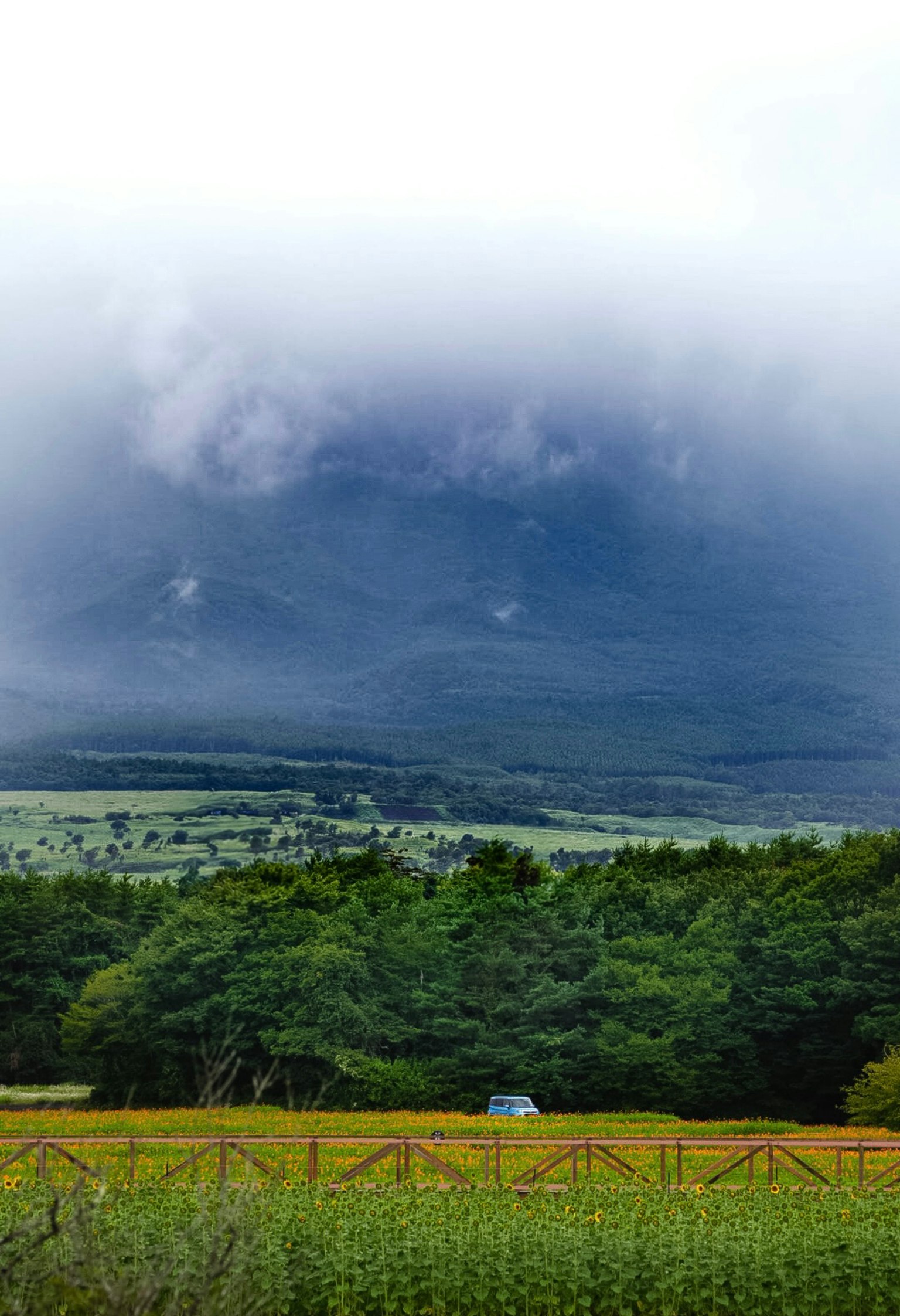 Paysage de montagne avec des nuages des arbres verts et des champs jaunes