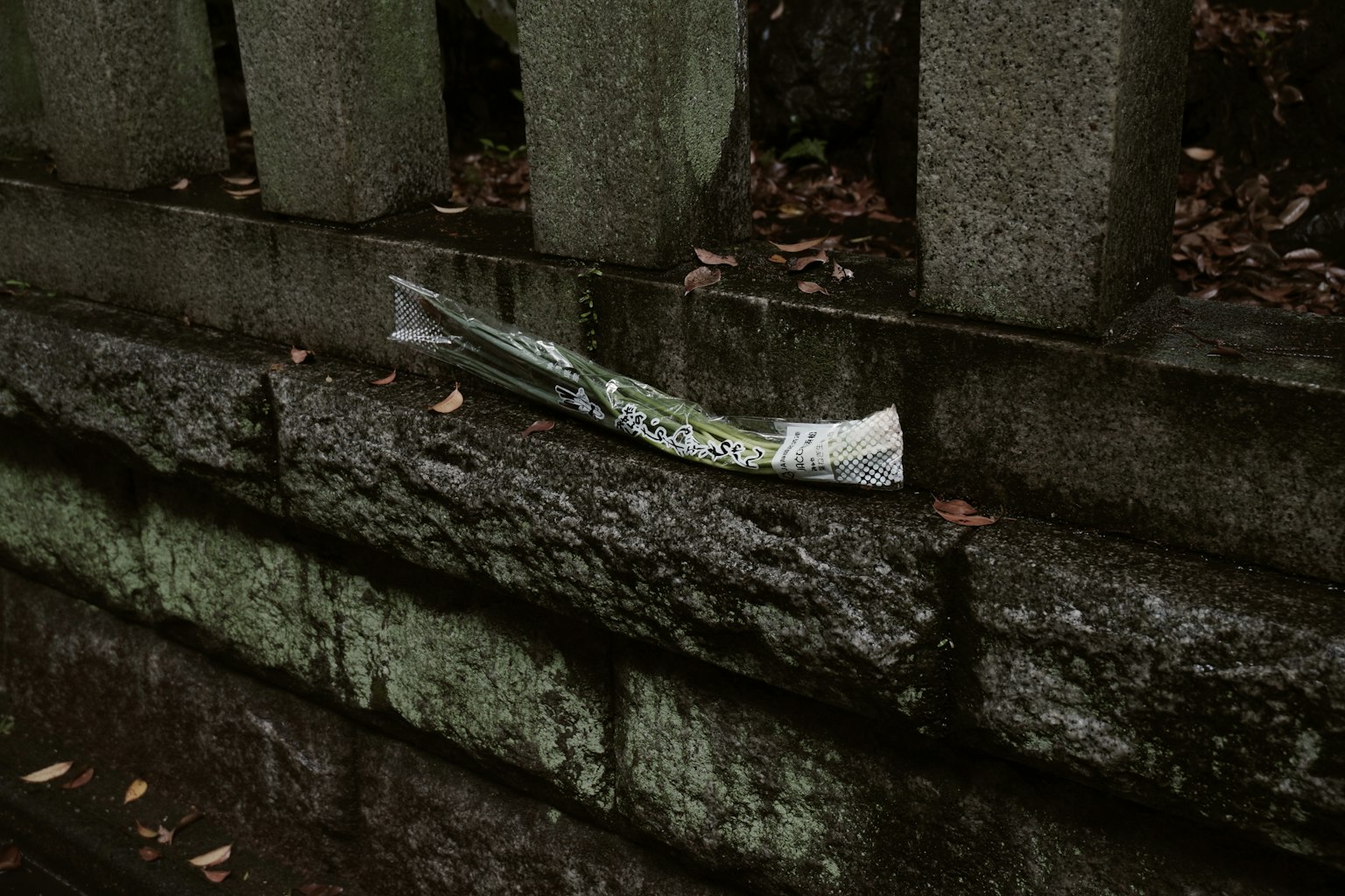 Un trozo de periódico descansando sobre un muro de piedra mojado