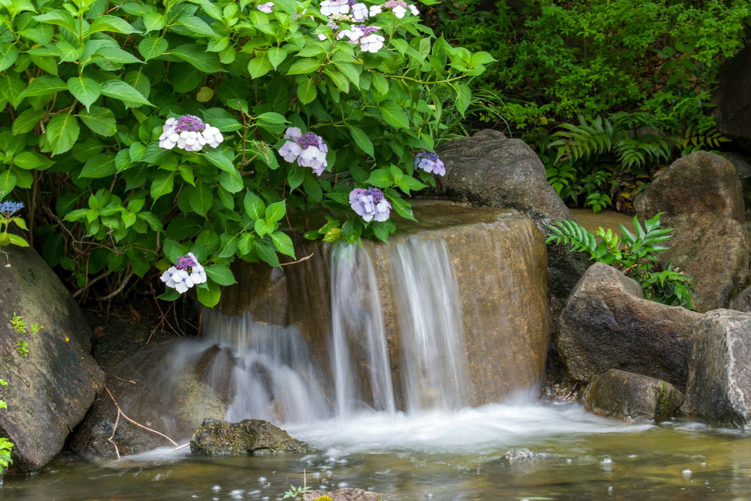 Pemandangan indah dari air terjun kecil dikelilingi oleh tanaman hijau dan bunga ungu