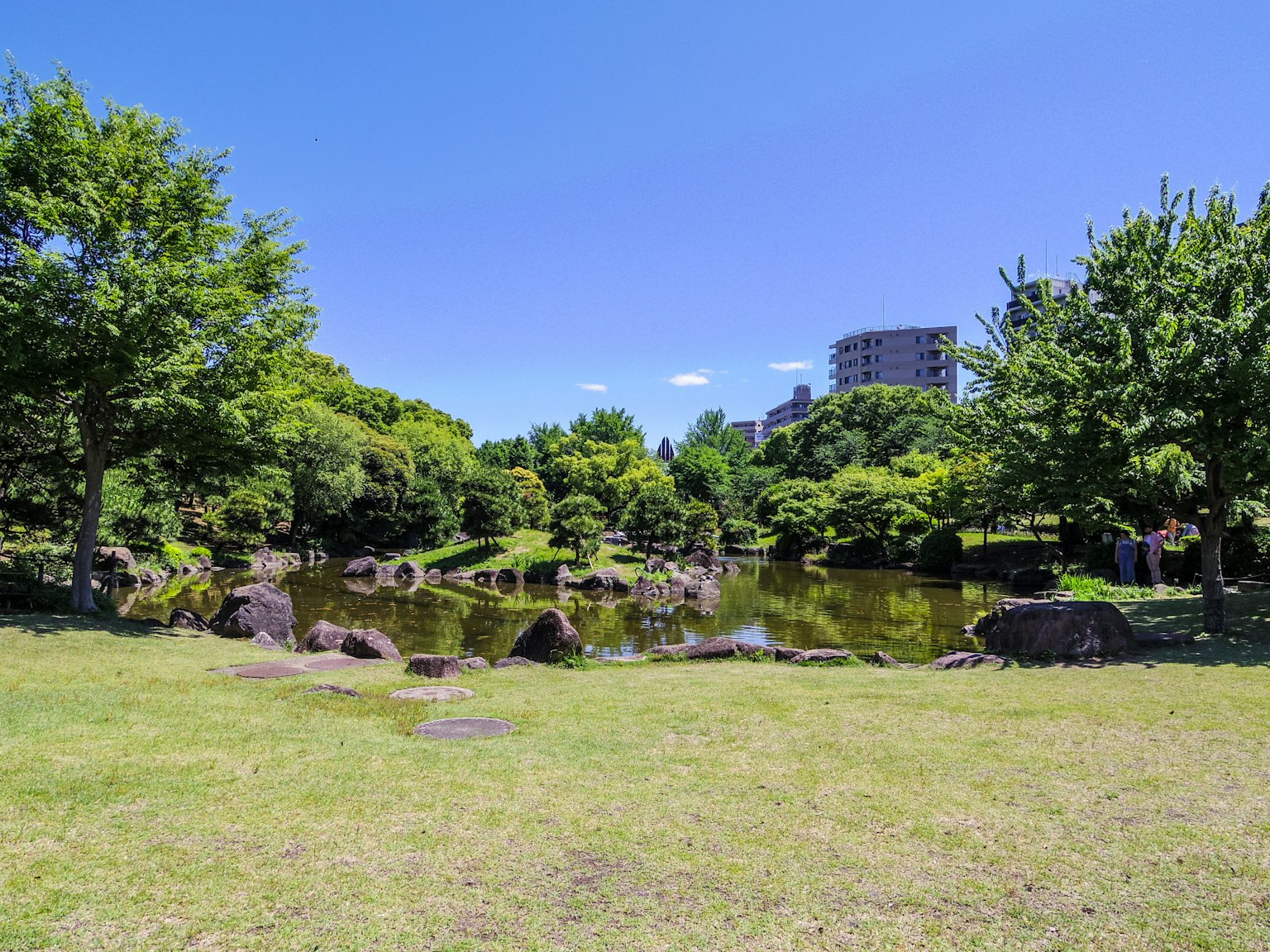 Ein sonniger Tag in einem Park mit einem Teich und üppigen grünen Bäumen