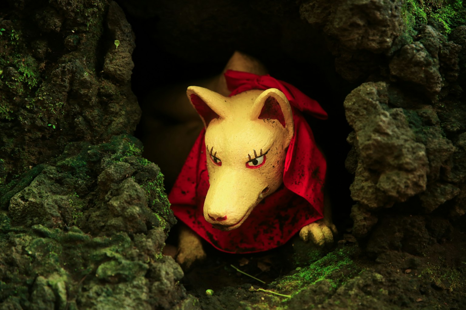 Anjing boneka putih mengenakan jubah merah yang mengintip dari gua