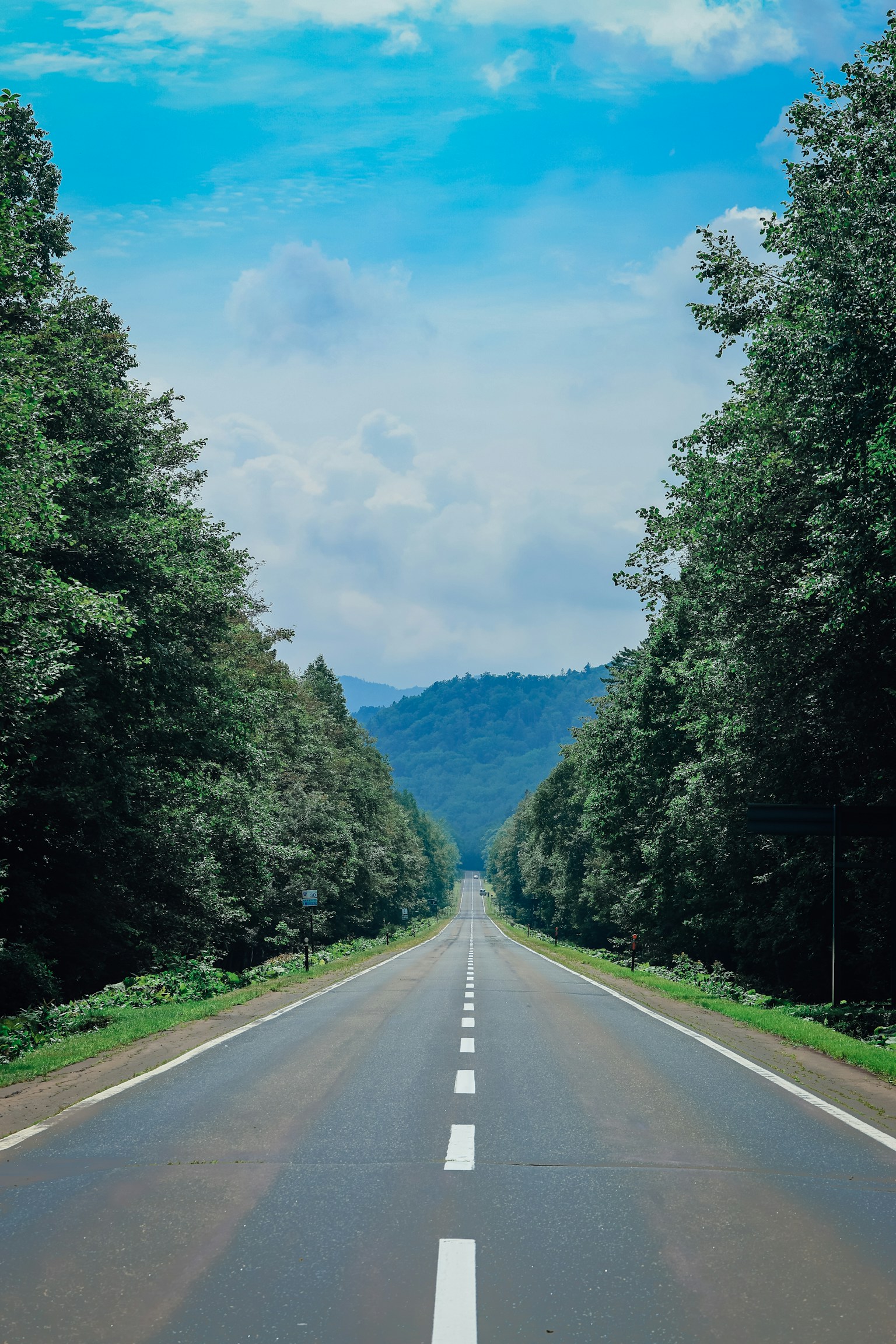 photo-V04tXnF02z7mgpvWUwHN-image