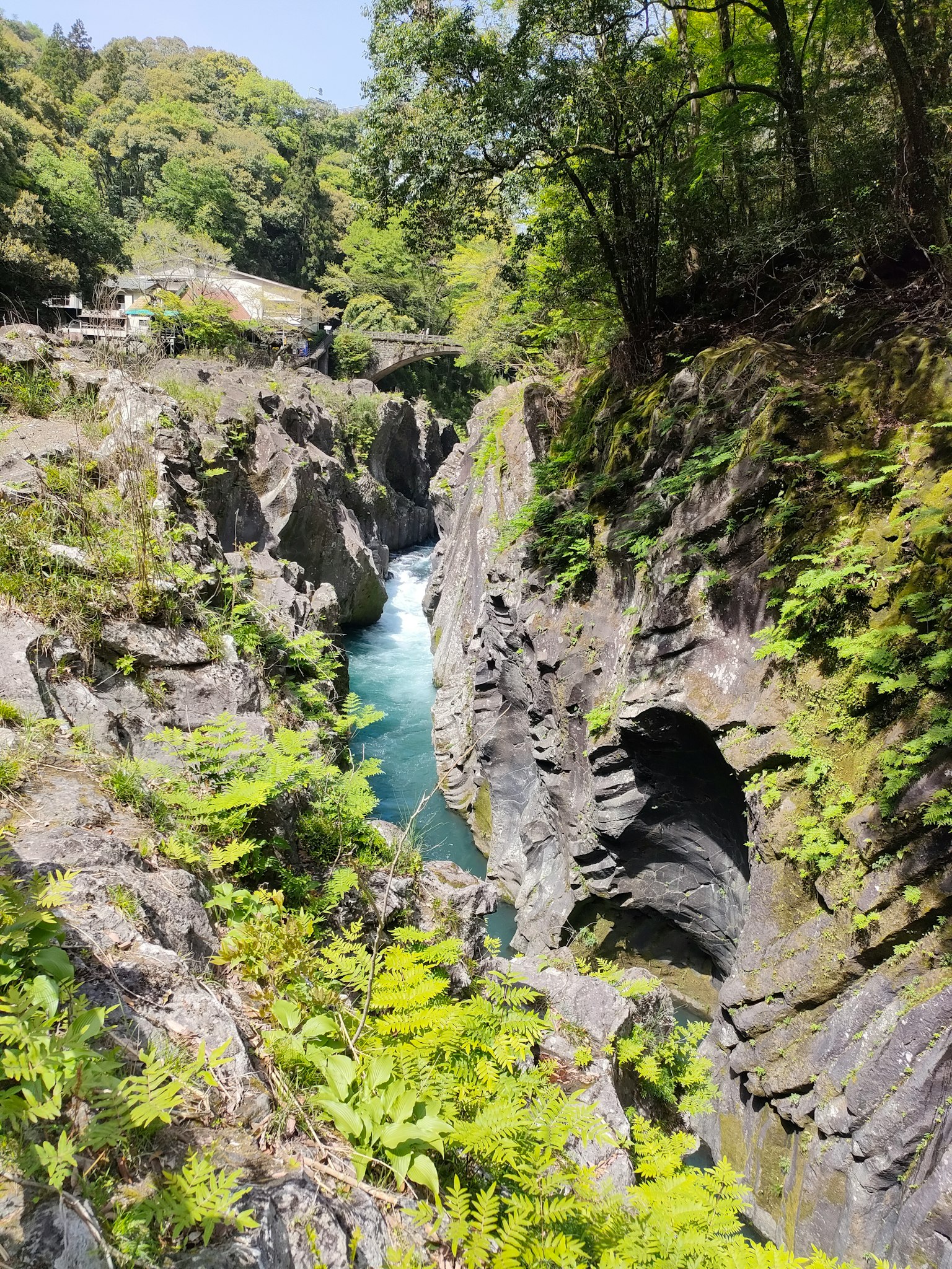 Un canyon lussureggiante con acqua che scorre e scogliere rocciose