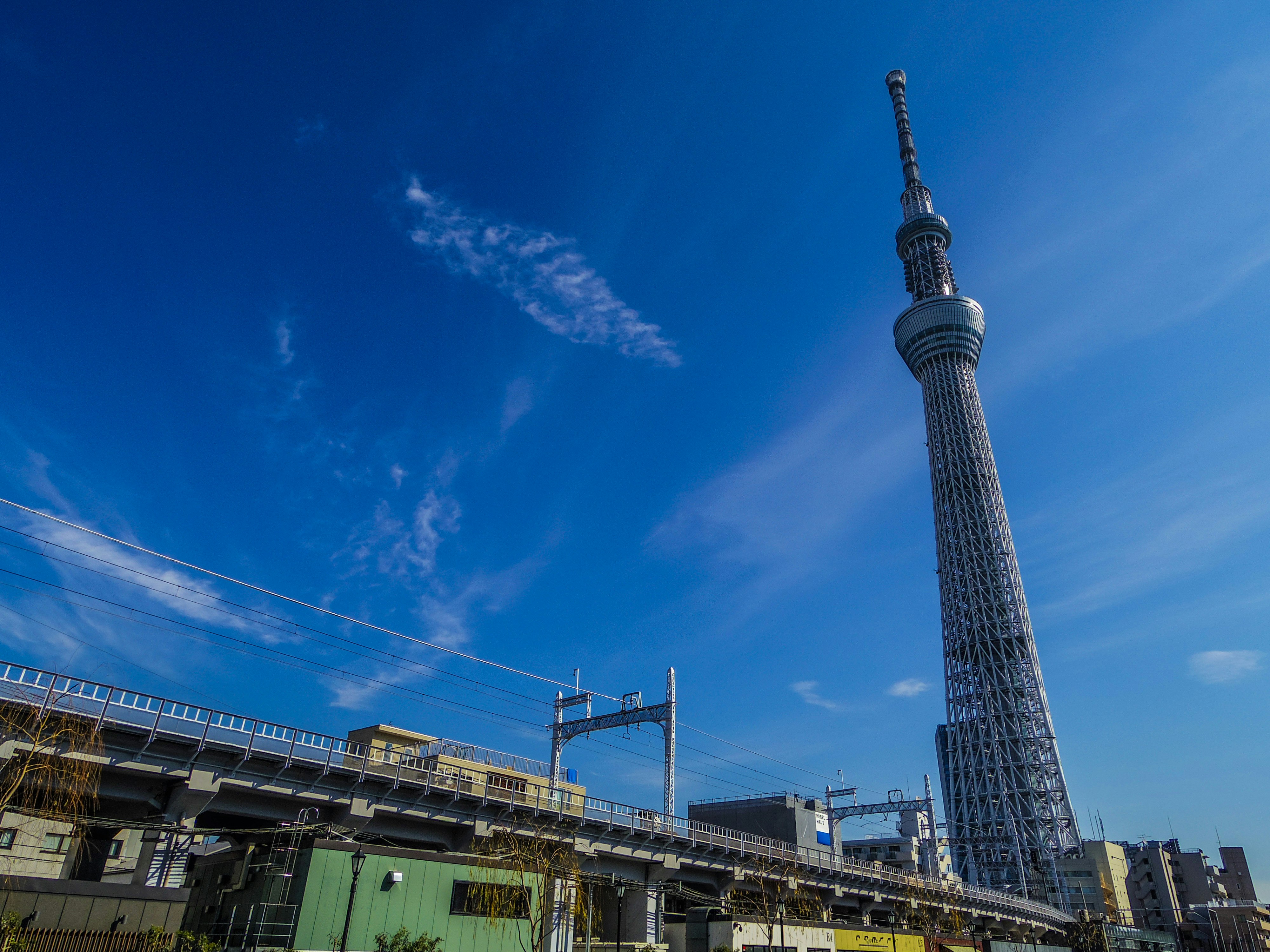 青空にそびえる東京スカイツリーと高架のある街並み