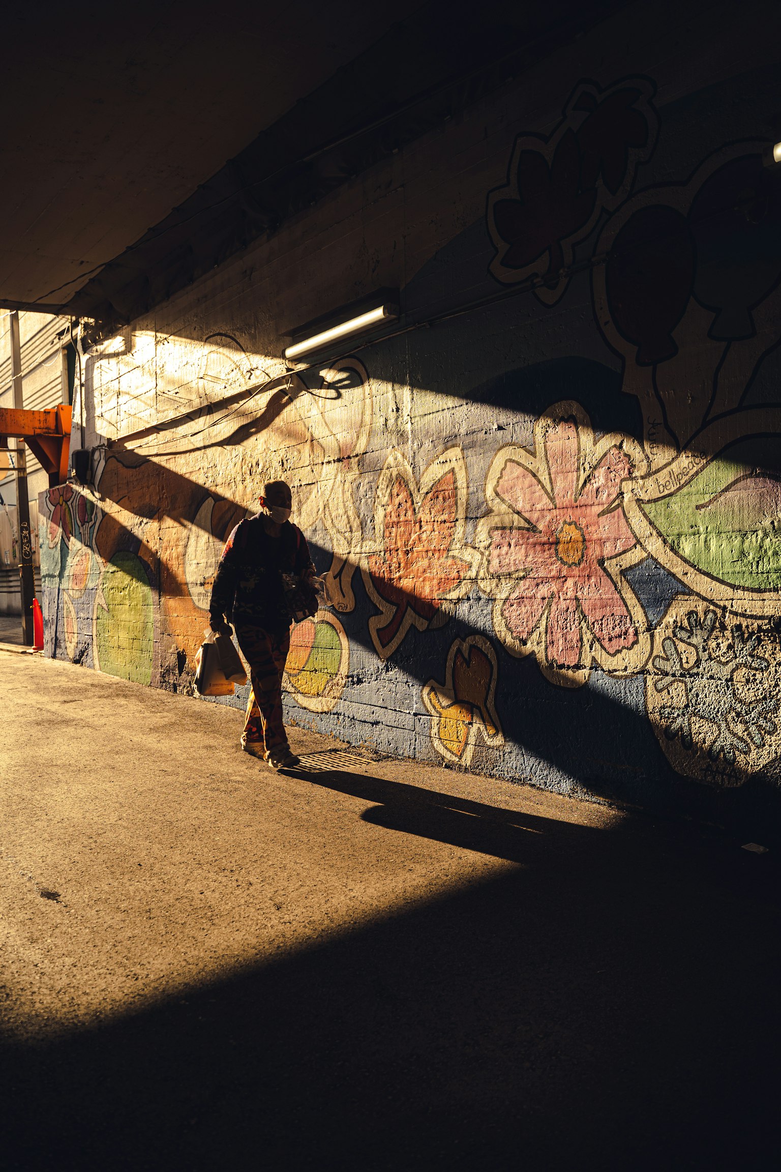 photo-V0uu7OAPCAPVBcgxr83c-image