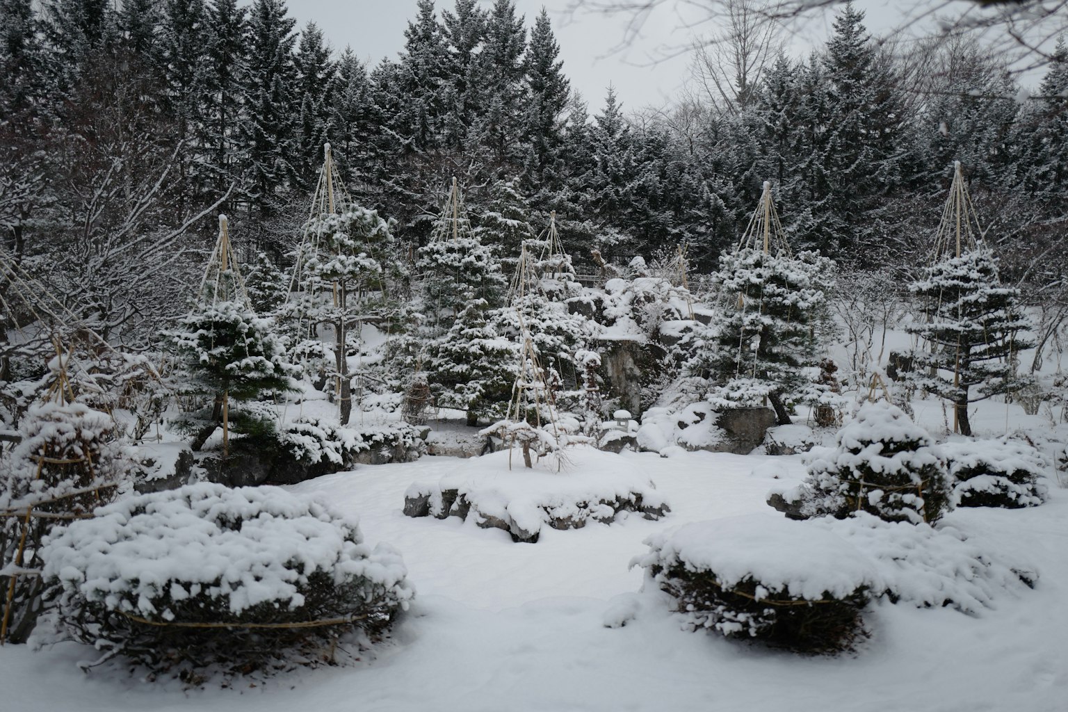 Snow-covered bonsai garden landscape