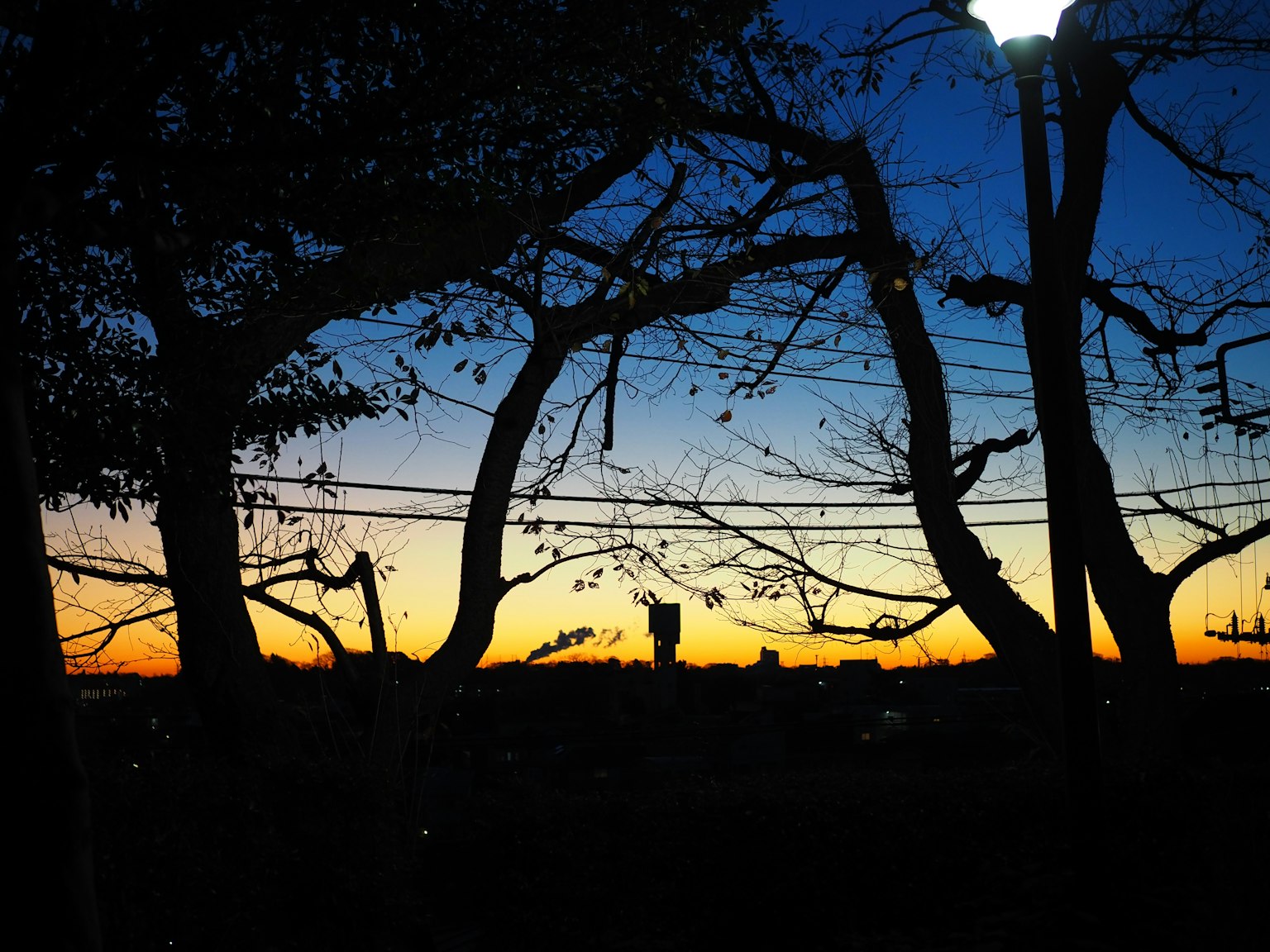 Silhouette d'arbres contre un ciel de coucher de soleil coloré