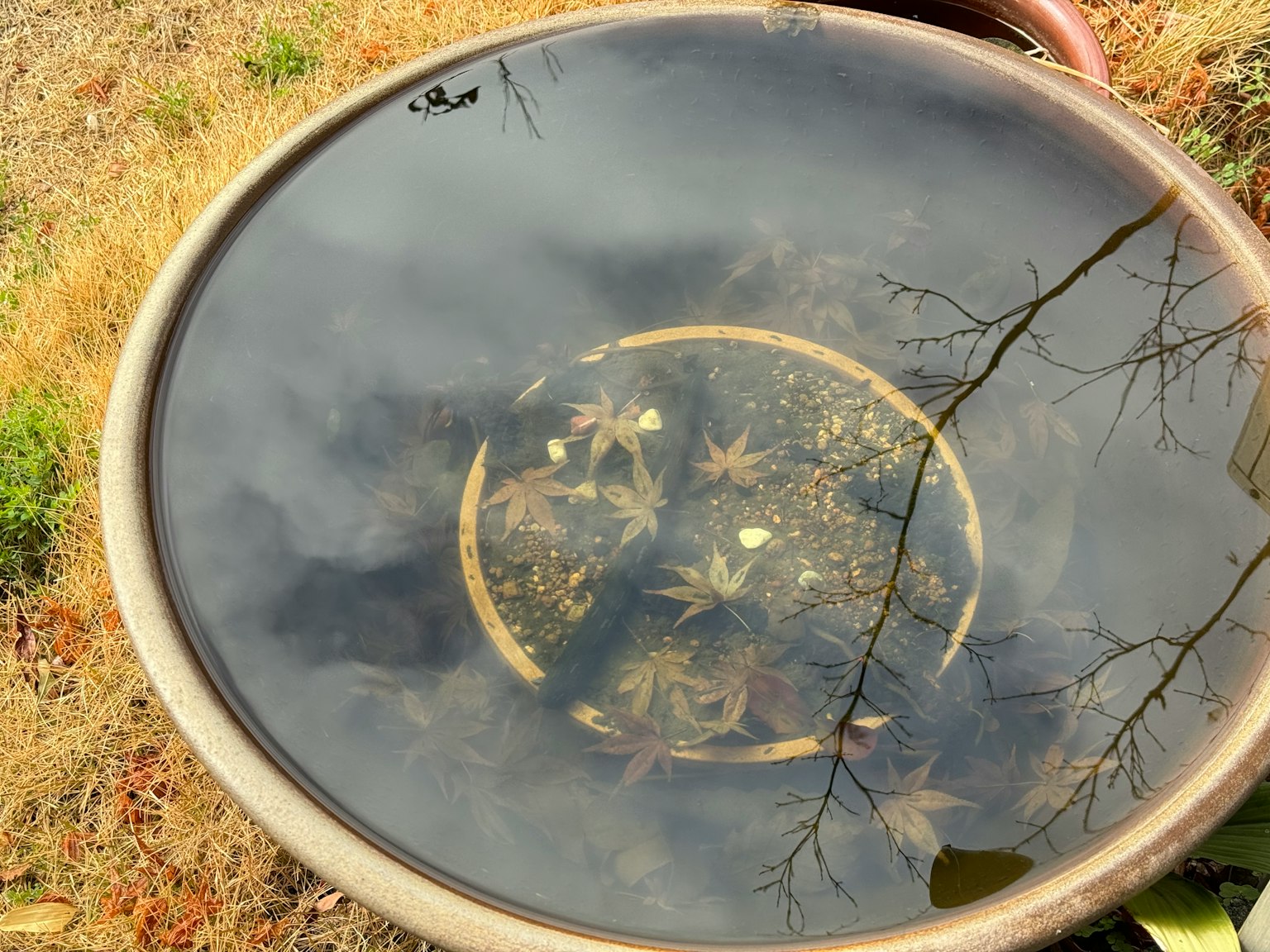 Reflection of autumn leaves and a small circular pattern in the water