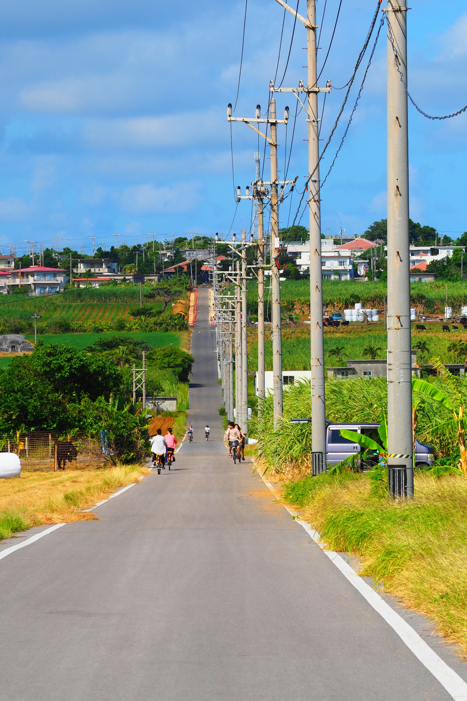 Longue route droite avec des poteaux électriques et un paysage verdoyant