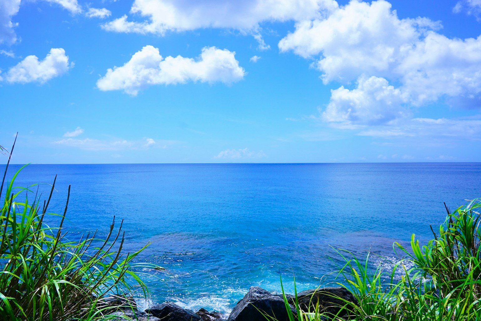 美麗的風景，廣闊的藍色海洋和天空，岸邊綠草如茵