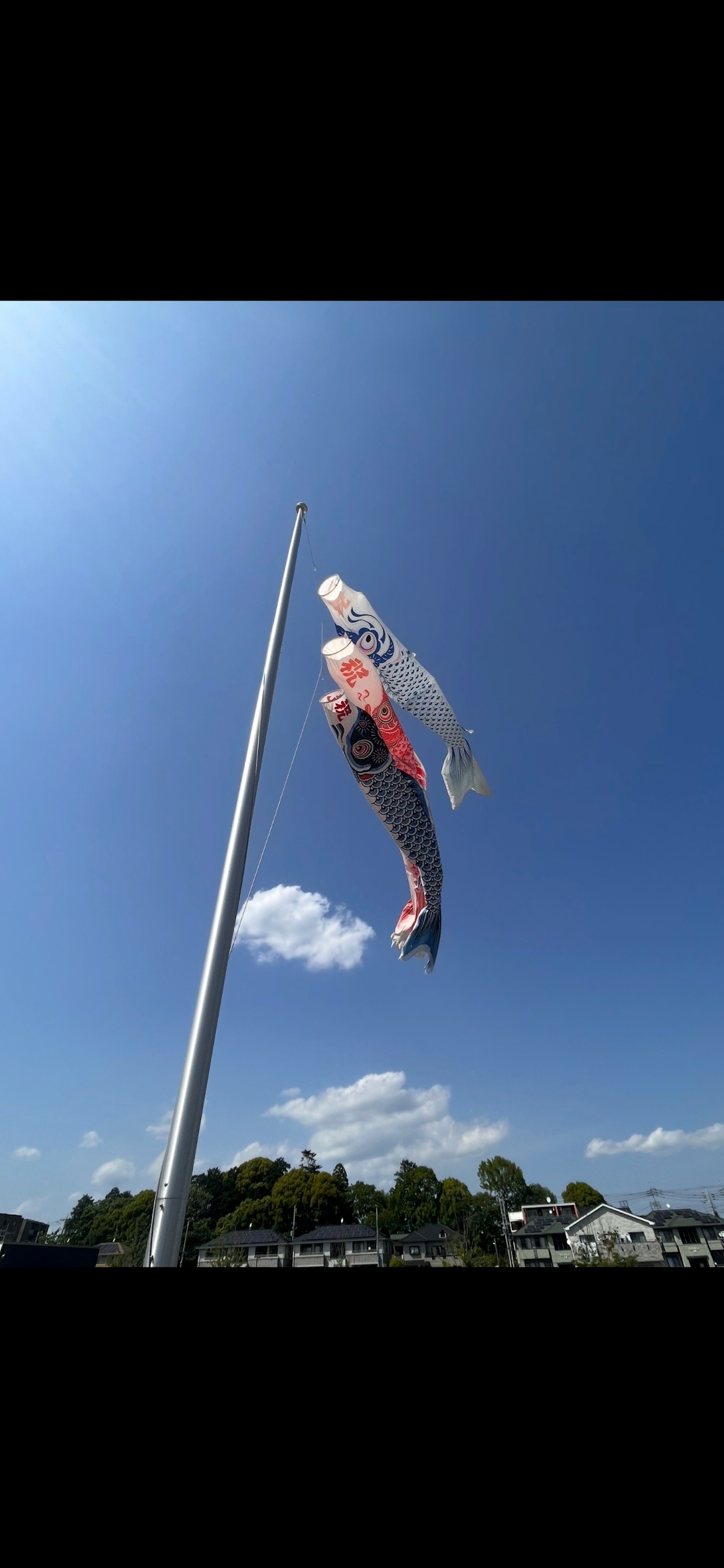 青空の下で旗に掲げられた魚のデザインの旗