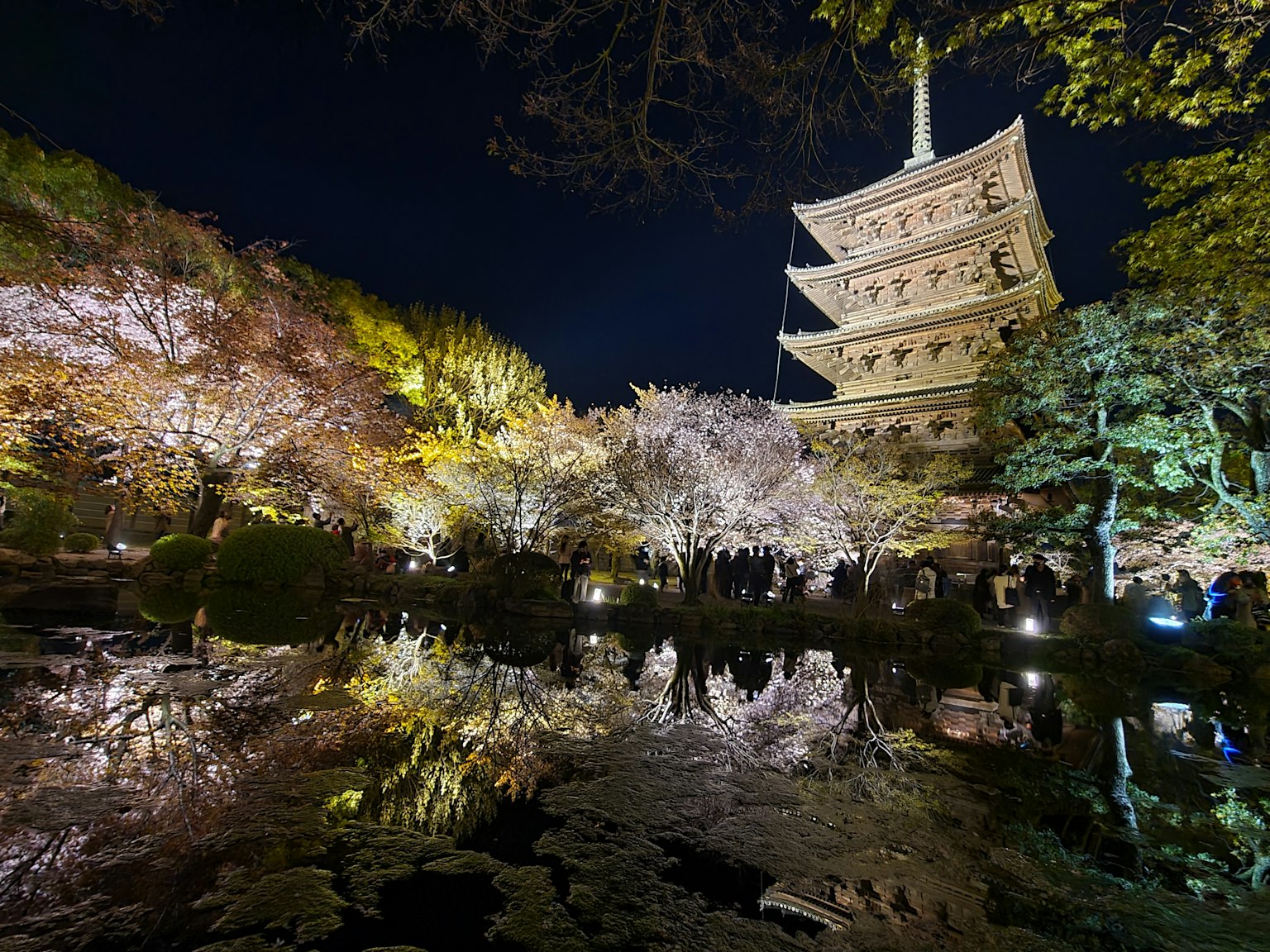 Pagode illuminée entourée d'arbres en fleurs la nuit