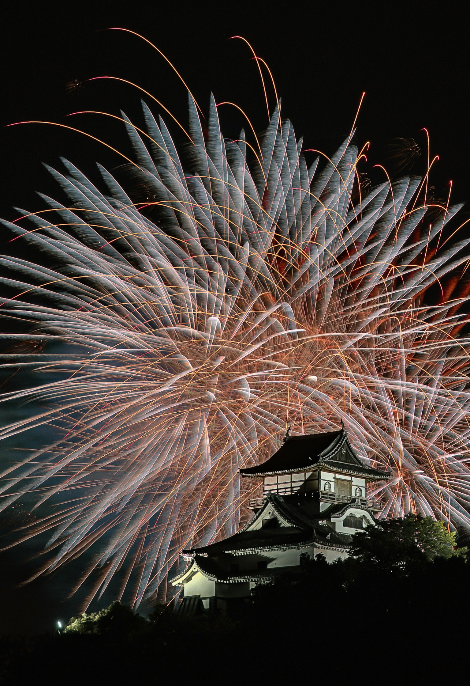 Fuochi d'artificio che esplodono nel cielo notturno sopra un castello creando uno spettacolo luminoso mozzafiato