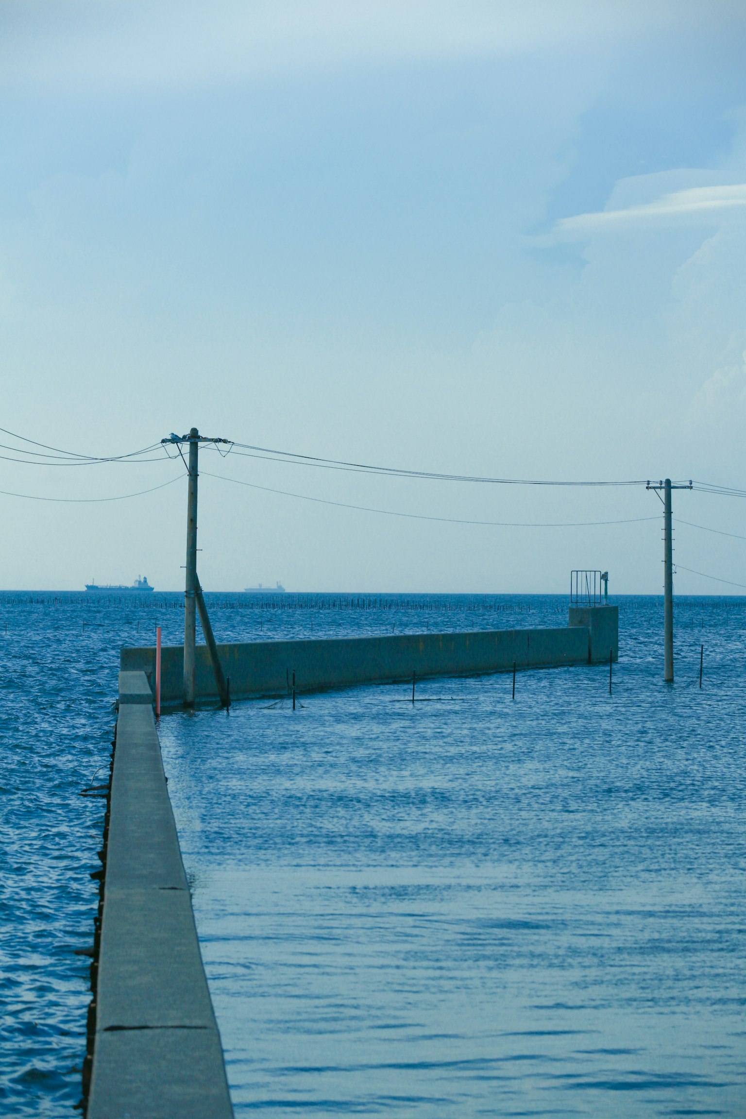 A view of a raised walkway over water with utility poles
