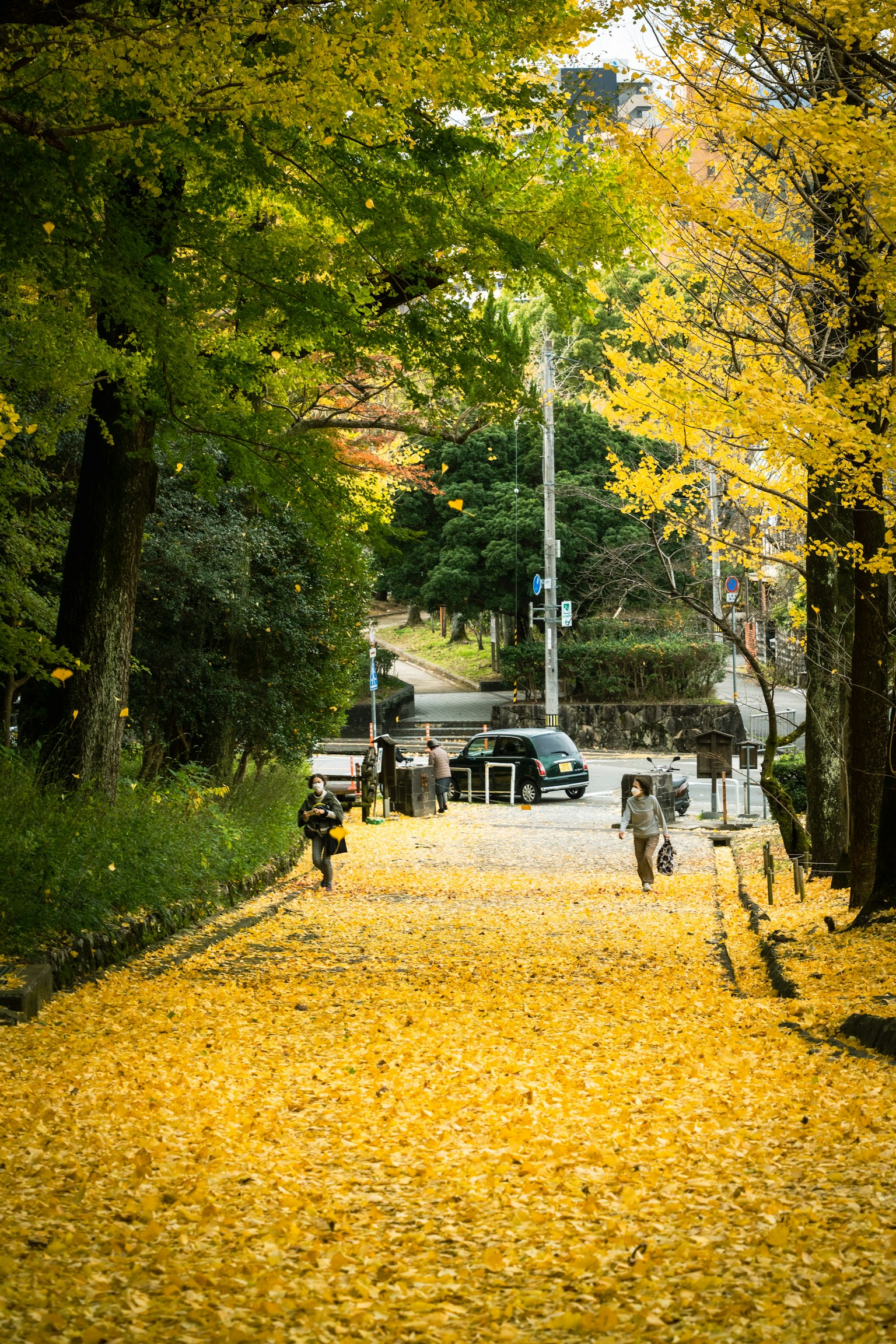 Ein malerischer Weg, der mit lebhaften gelben Blättern bedeckt ist, mit Menschen, die gehen, und einem Auto im Hintergrund