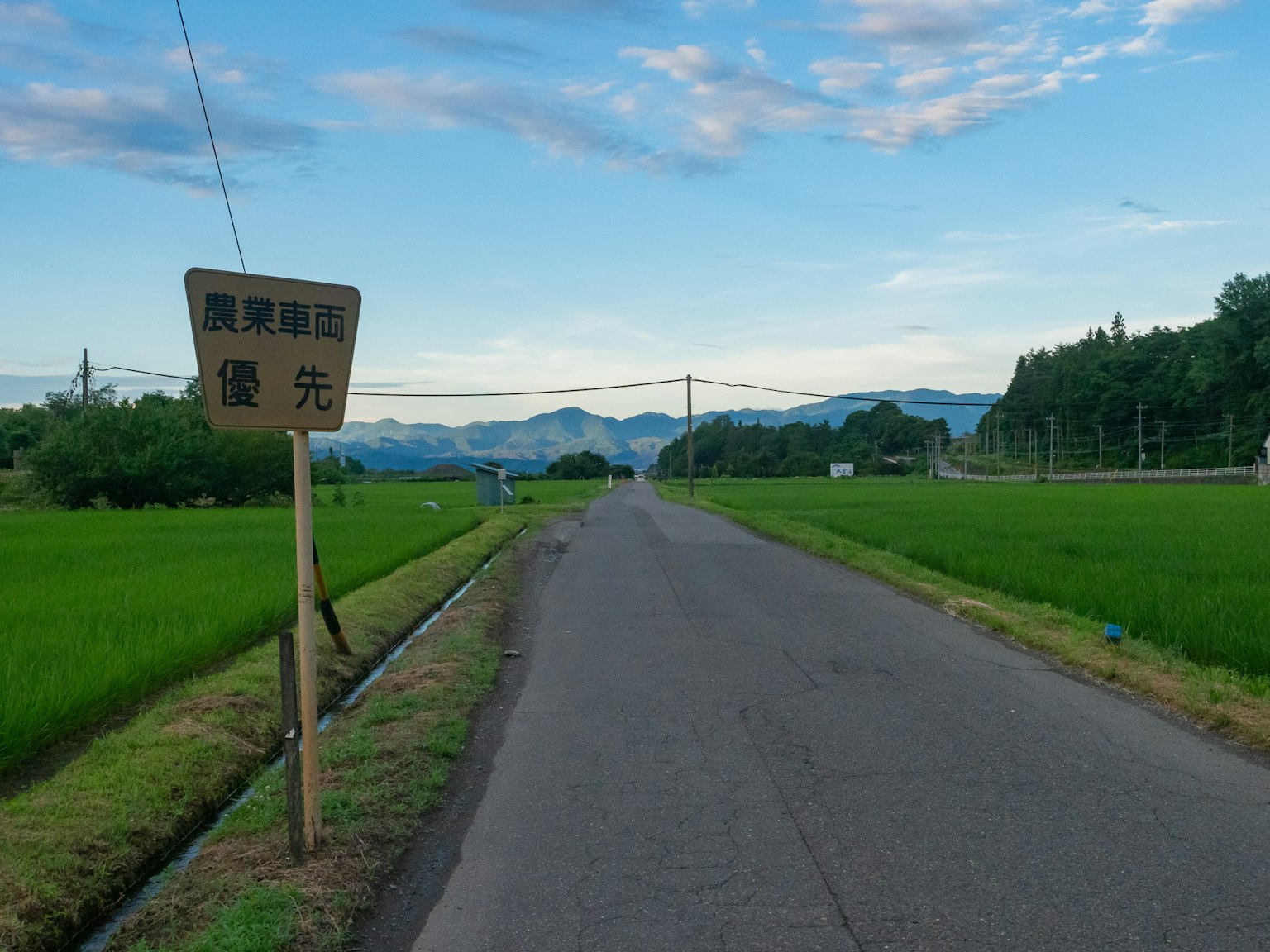 鄉村風景，綠色稻田與藍天