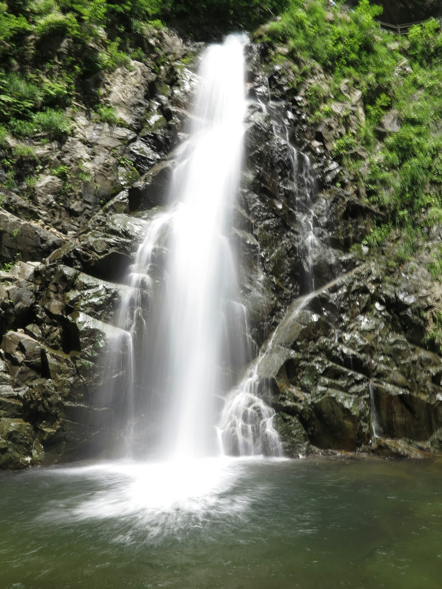 Air terjun yang indah mengalir di atas batu yang dikelilingi oleh vegetasi