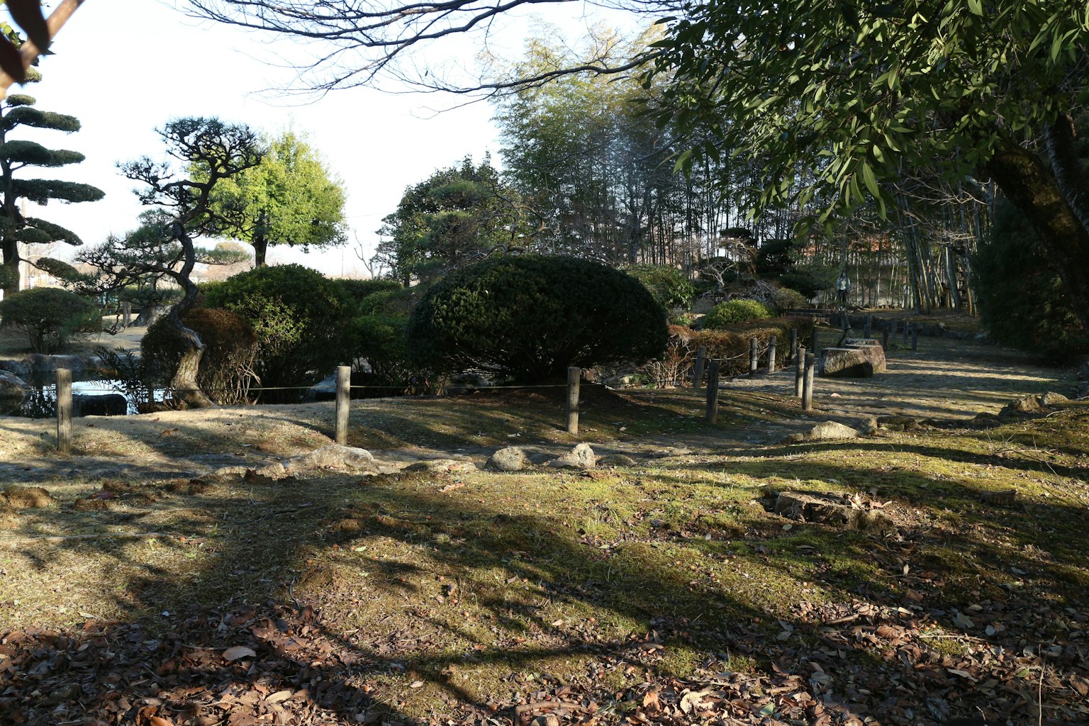Scena di giardino giapponese sereno con vegetazione lussureggiante e pietre disposte
