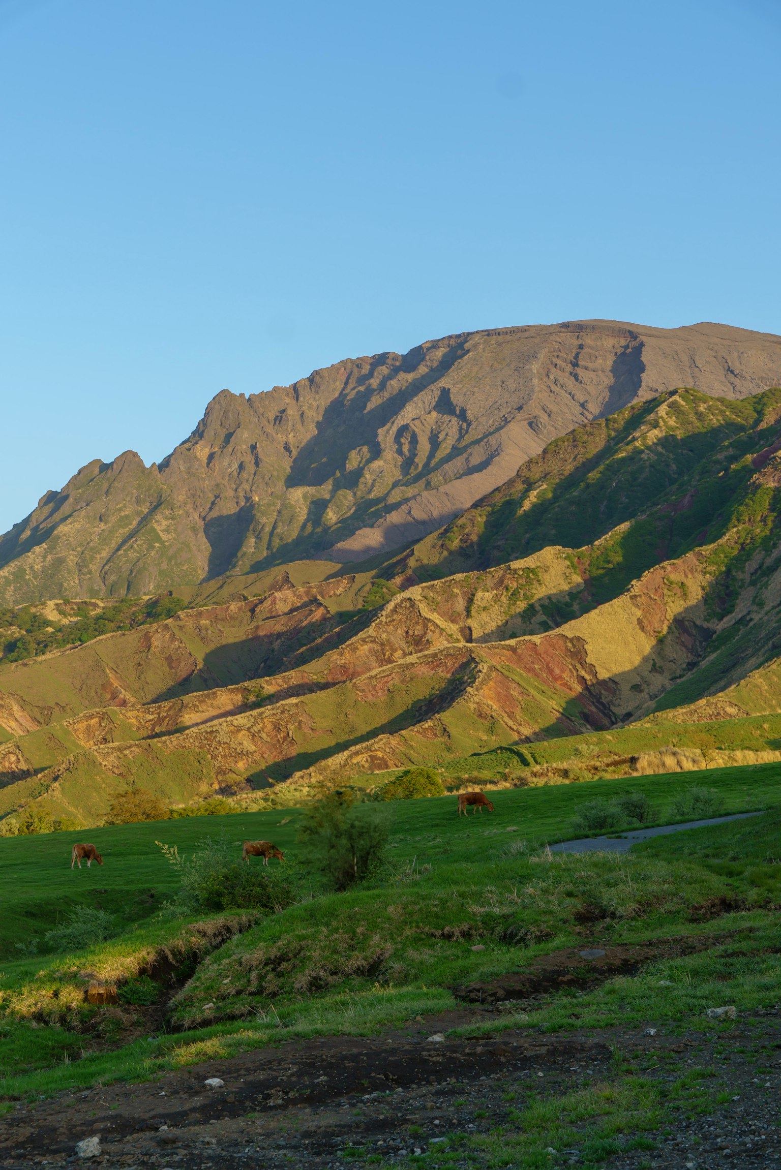 緑の草原と山々の風景 青空の下での自然の美しさ