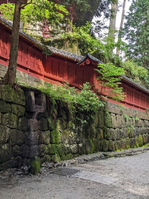 苔むした石垣と赤い塀が続く寺院の参道