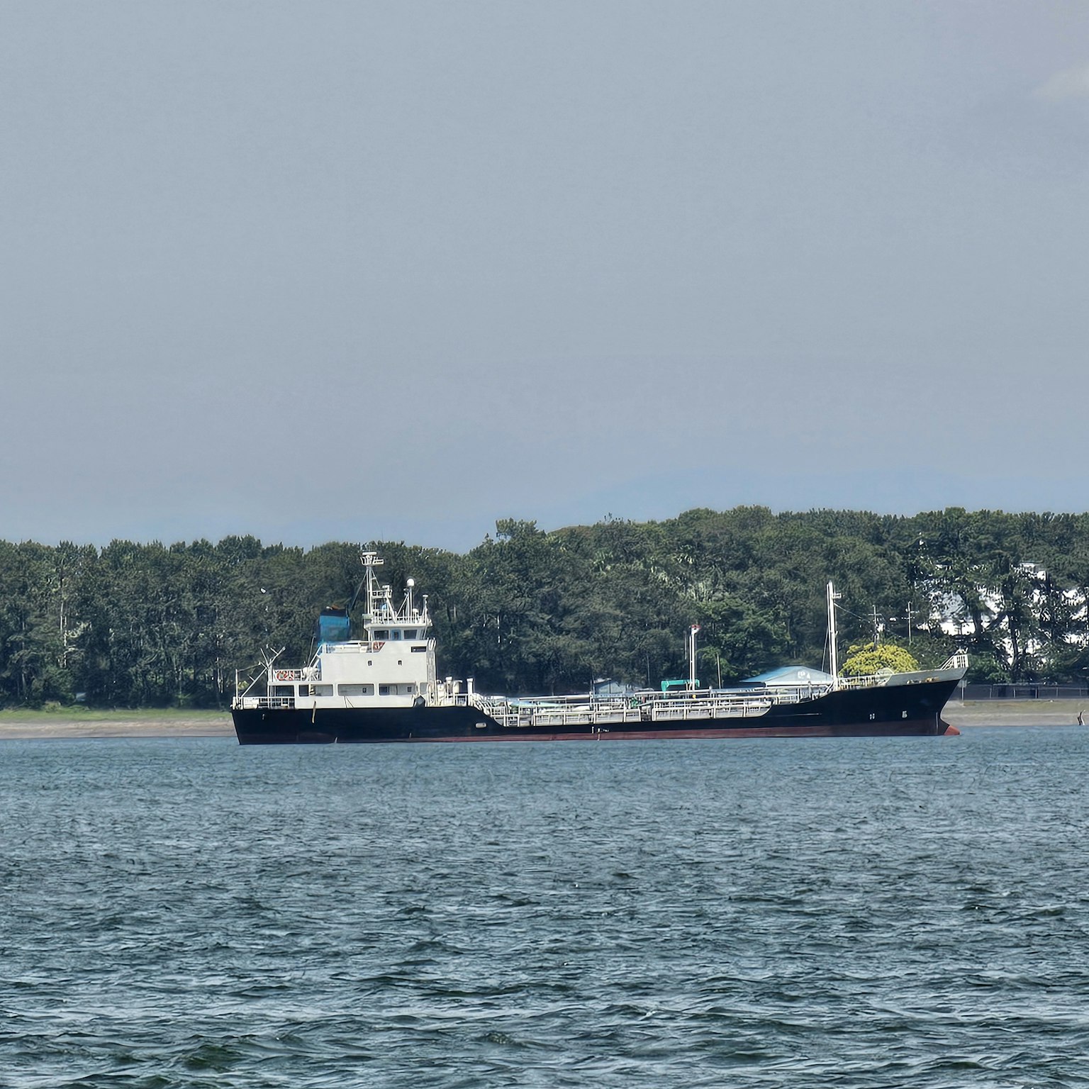 Image of a black cargo ship floating on water surrounded by lush green trees