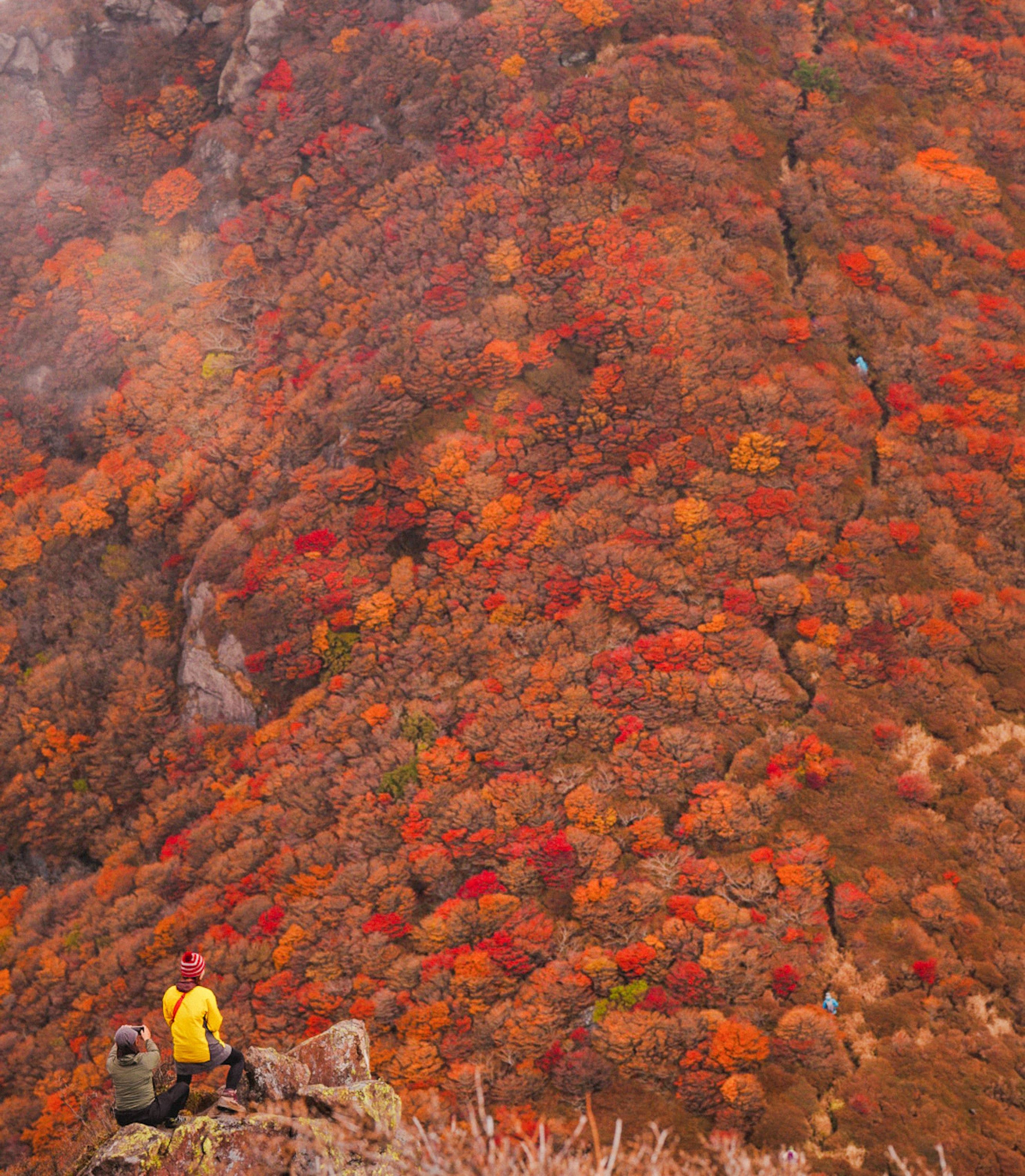 紅葉の斜面と崖を見下ろす登山者のいる景色