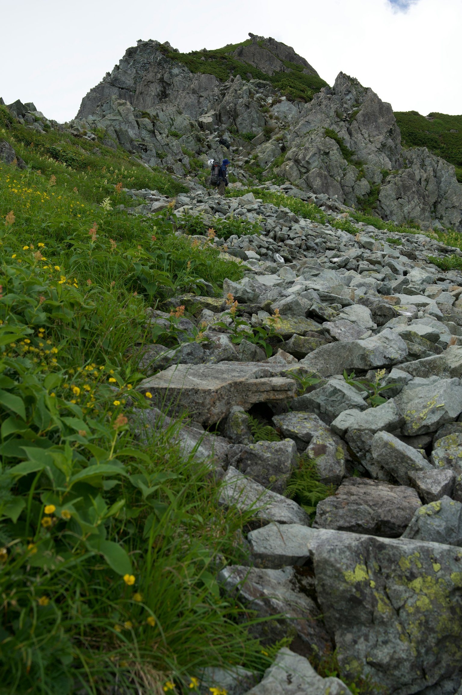 Escursionista che sale un sentiero di montagna roccioso circondato da vegetazione