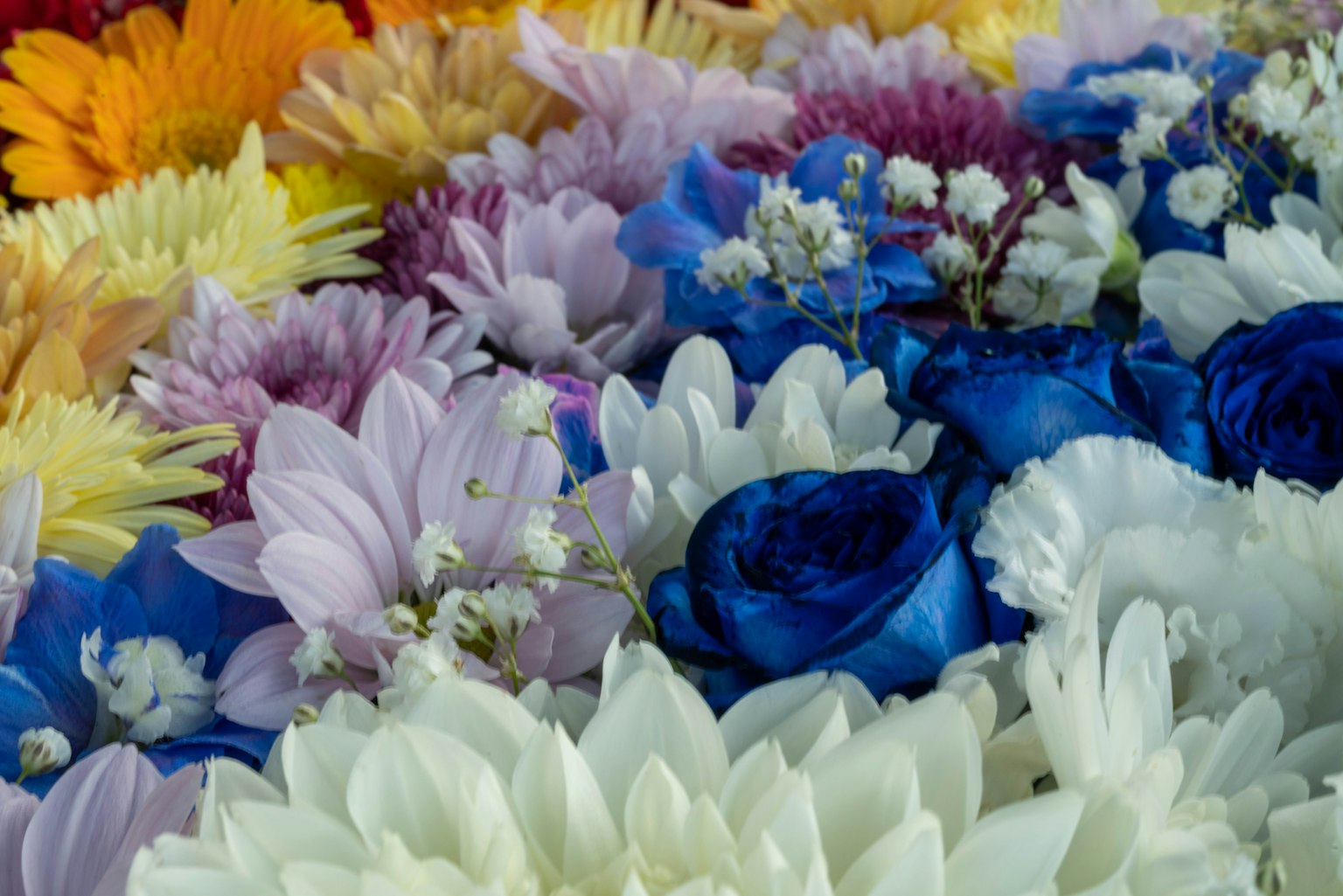 A vibrant arrangement of colorful flowers including blue roses and white chrysanthemums
