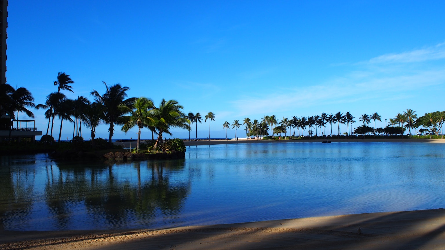 Vue de plage pittoresque avec ciel bleu et eau calme bordée de palmiers