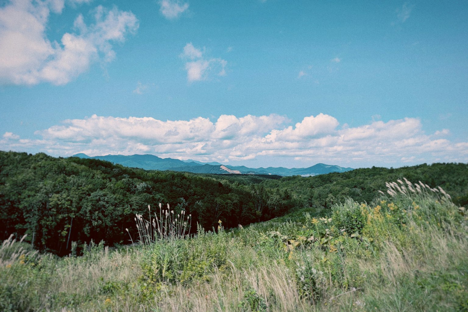 Paysage de montagne avec ciel bleu et nuages prairies et forêts verdoyantes