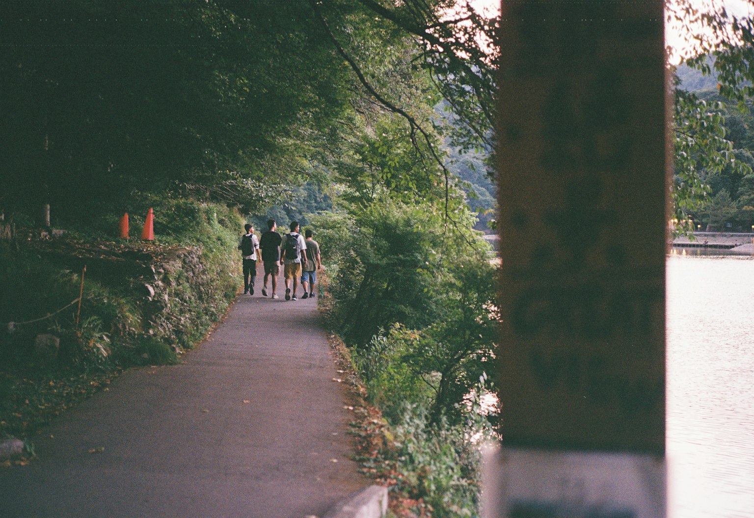 Menschen, die auf einem Weg am Fluss entlanggehen, umgeben von Grünflächen