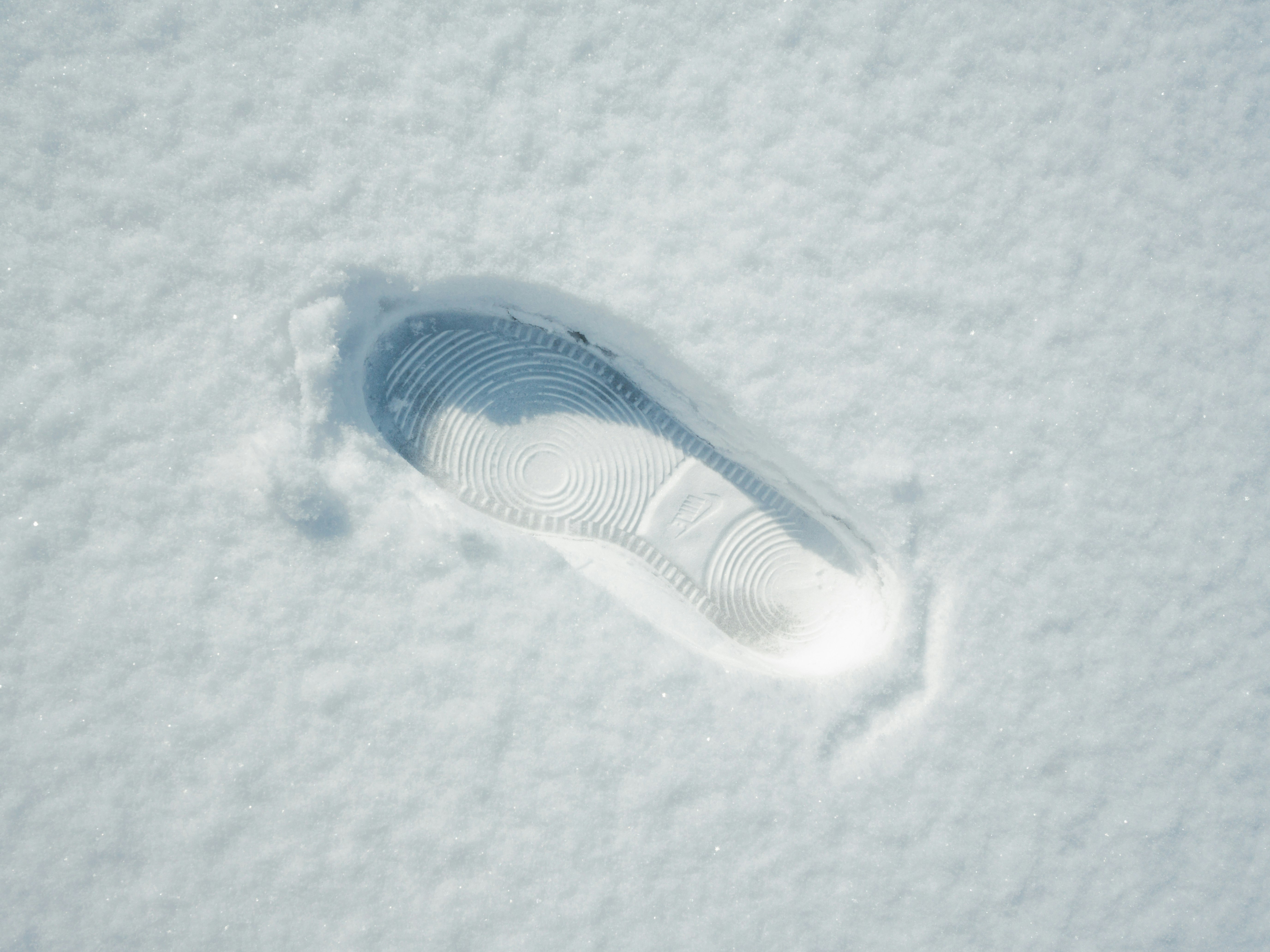 雪地上透明的水母般形状