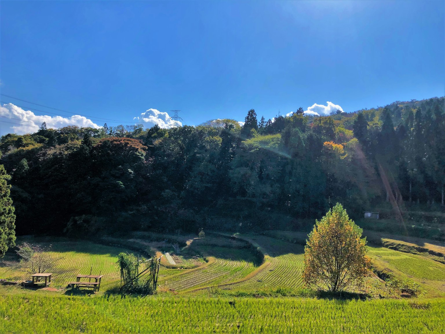 Landschaft mit blauem Himmel grünen Hügeln verstreut mit Bäumen und Ackerland