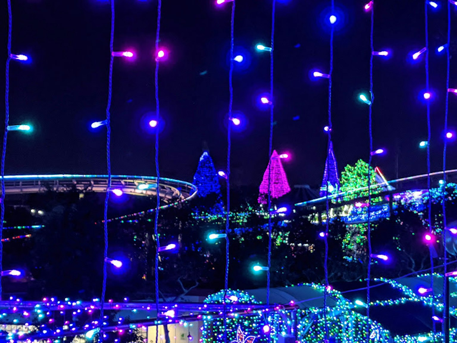 Des lumières colorées créent une atmosphère festive dans le ciel nocturne avec des arbres illuminés