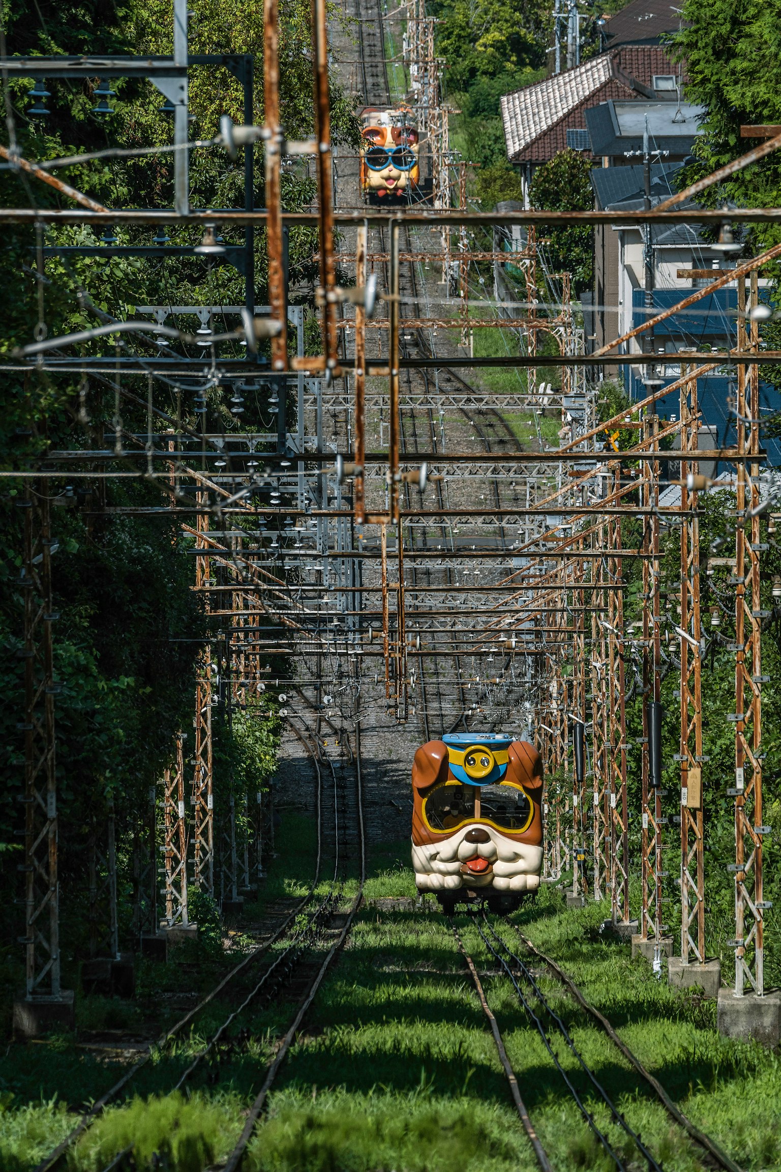 Treno che viaggia attraverso un paesaggio verdeggiante con cavi aerei