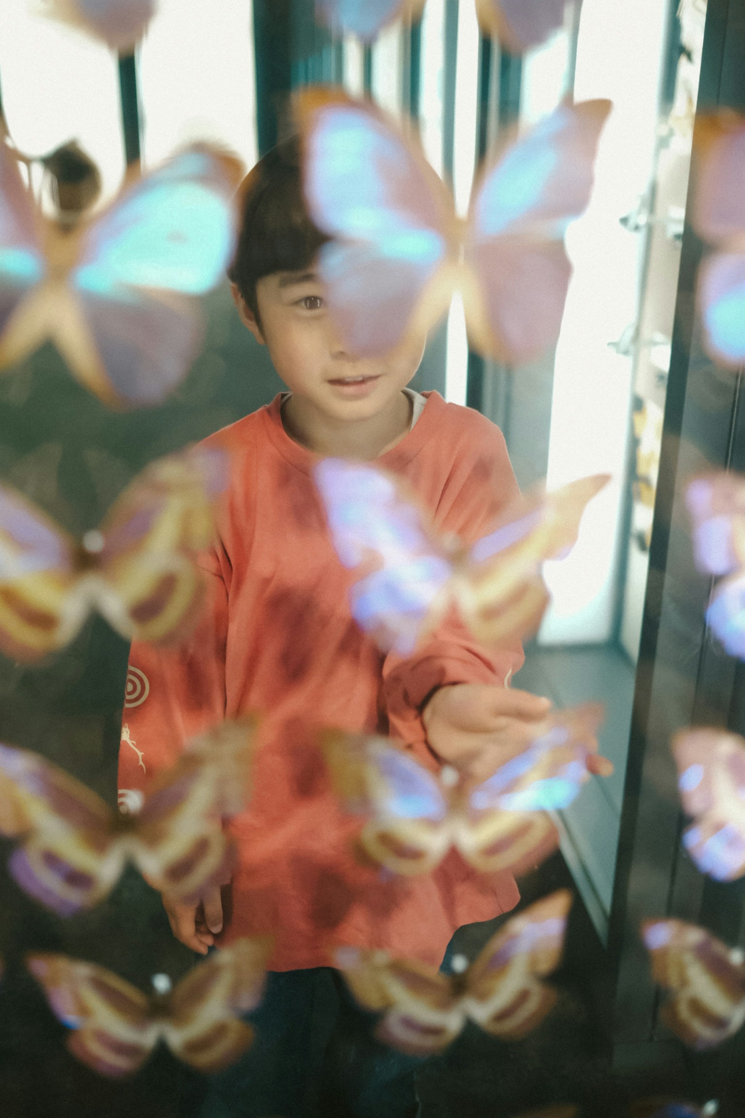 เด็กยืนอยู่หน้าตัวอย่างผีเสื้อหลากสีด้วยท่าทางสนุกสนาน