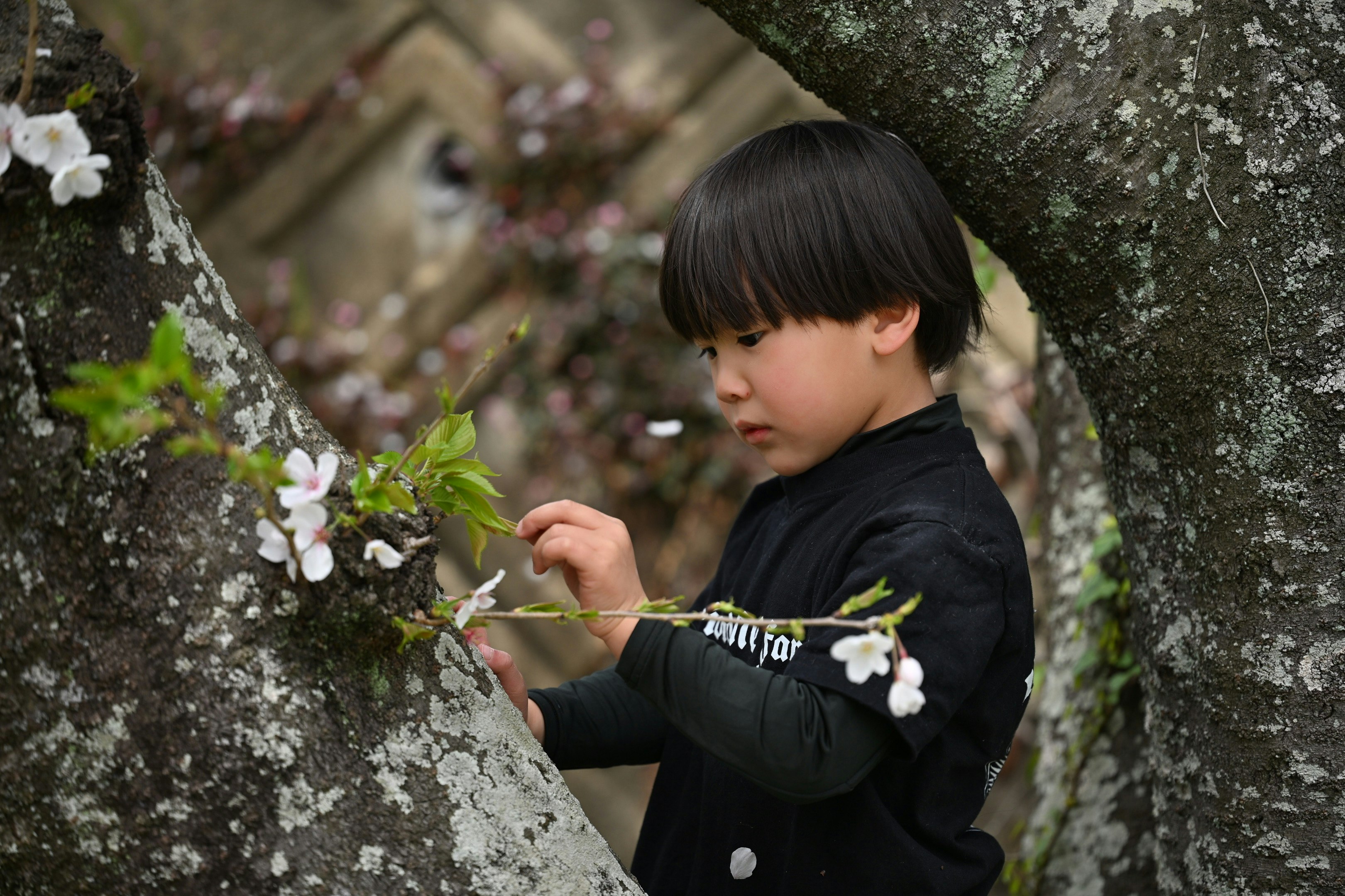 芽吹きの花を見つめる子ども