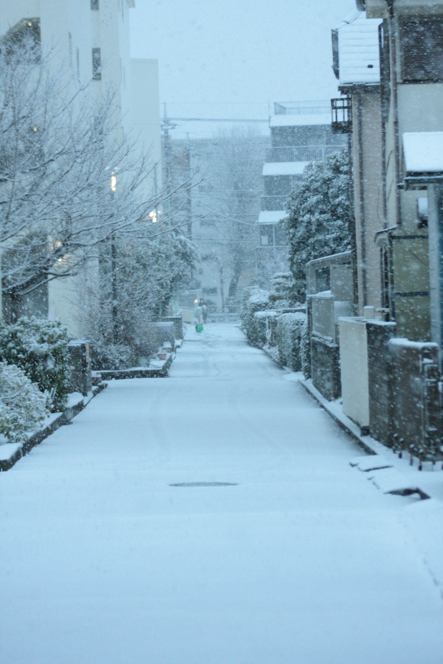 Ruhige Straße, die mit Schnee bedeckt ist, umgeben von Gebäuden