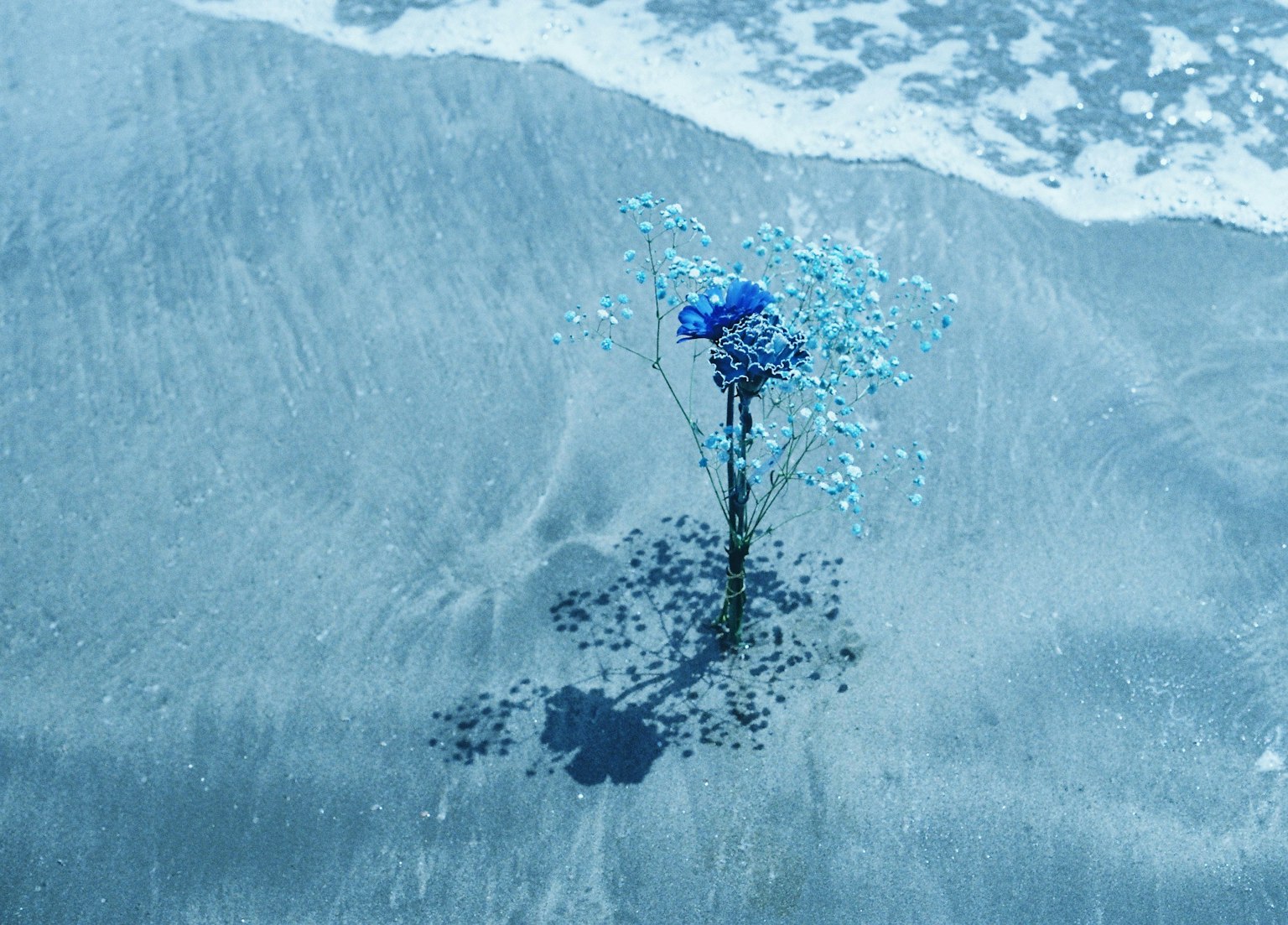 Una flor azul de pie en el agua con suaves olas