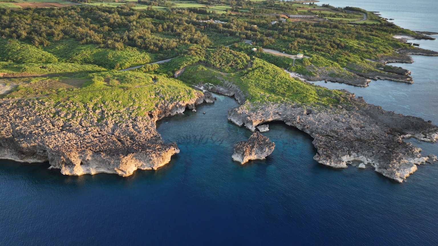Paysage côtier luxuriant avec des formations rocheuses et des eaux bleues
