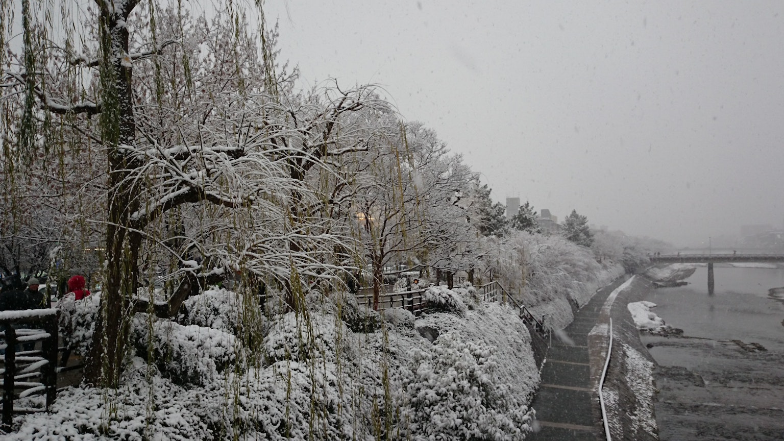 被雪覆蓋的樹木和安靜小徑的場景