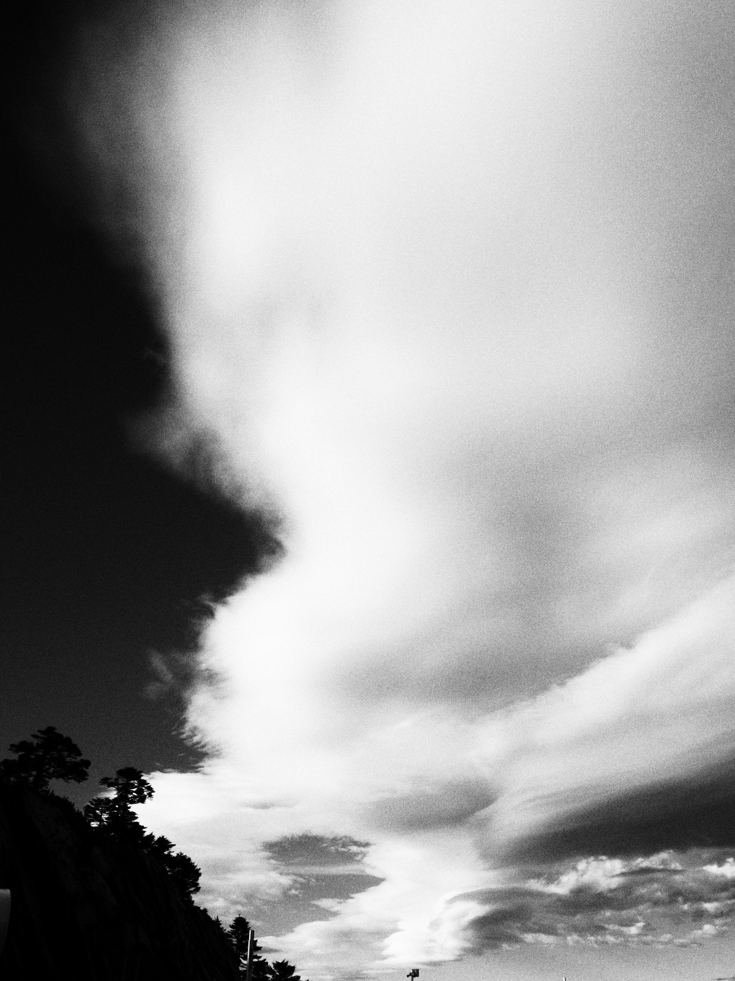 木々のシルエットと雲が流れる空の風景