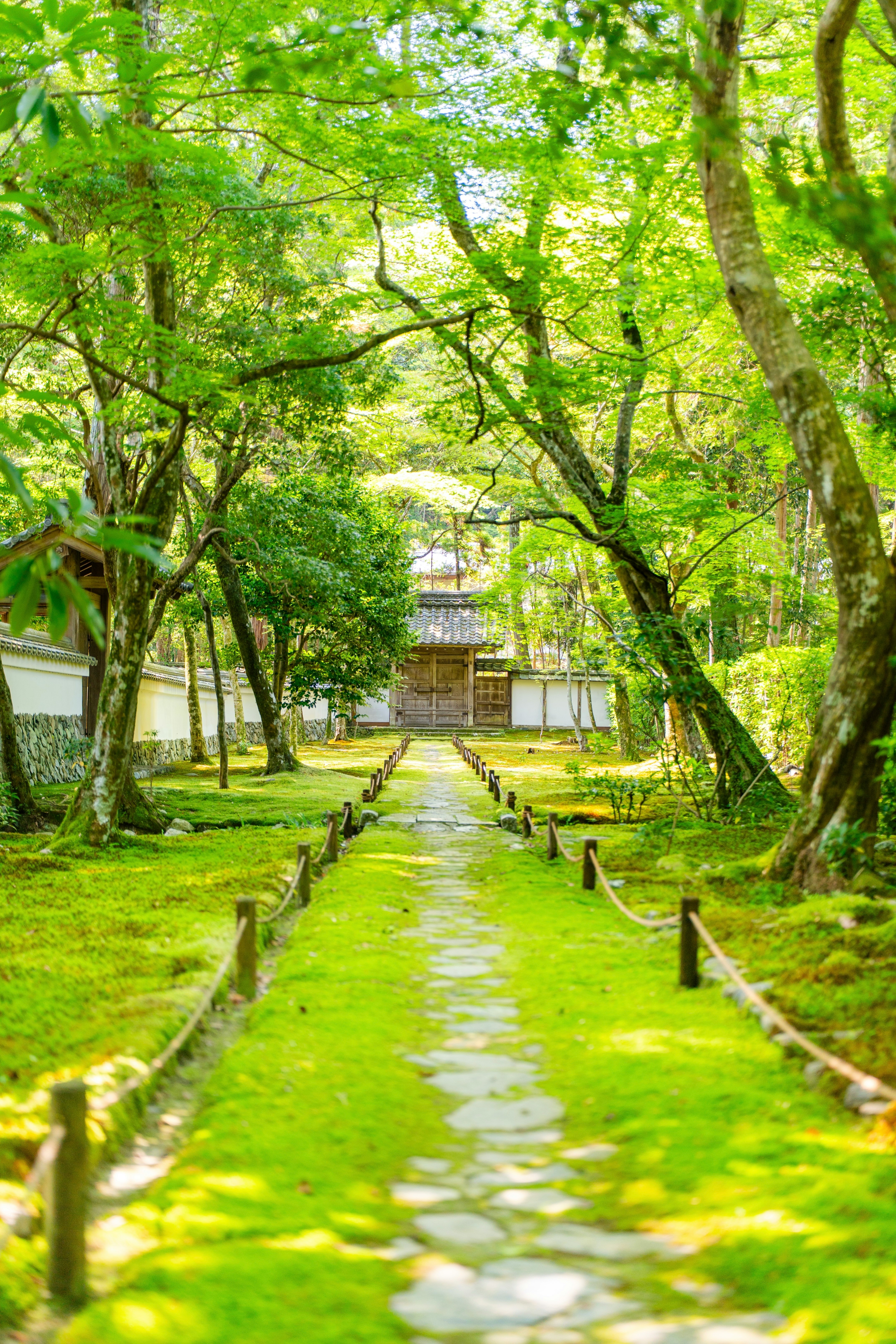 緑の木々に囲まれた石畳の小道と庭の景色