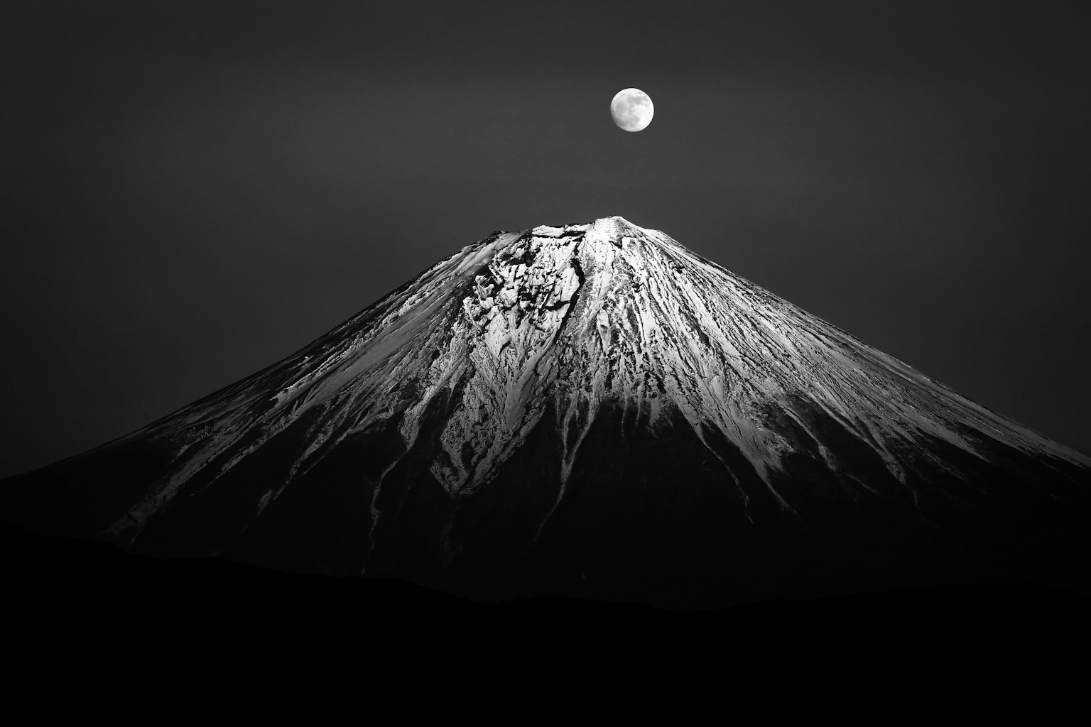 photo-VCk4wXWYAhTNHK5tov8y-image