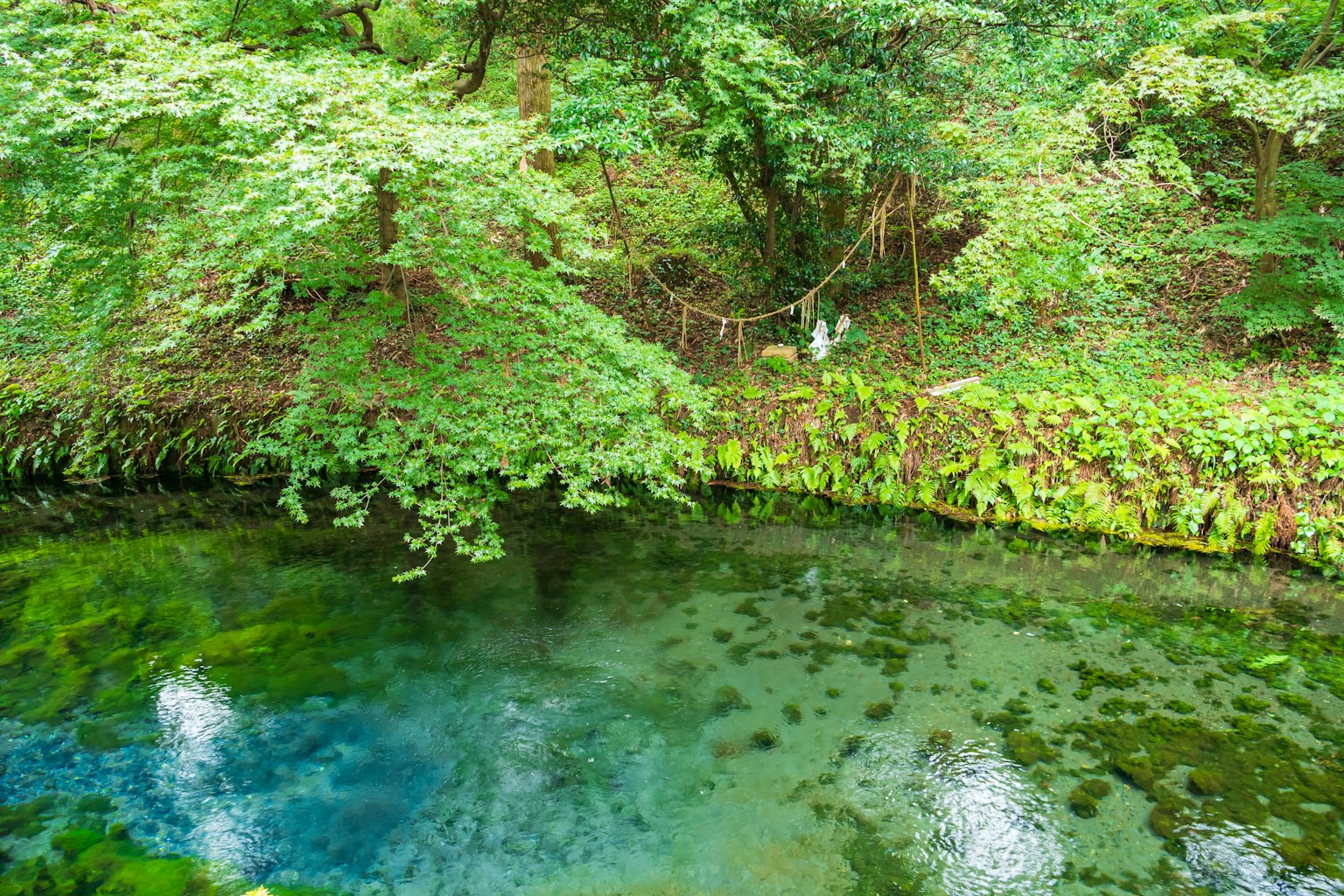 ทิวทัศน์ที่สวยงามของบ่อน้ำใสที่ถูกล้อมรอบด้วยความเขียวขจี